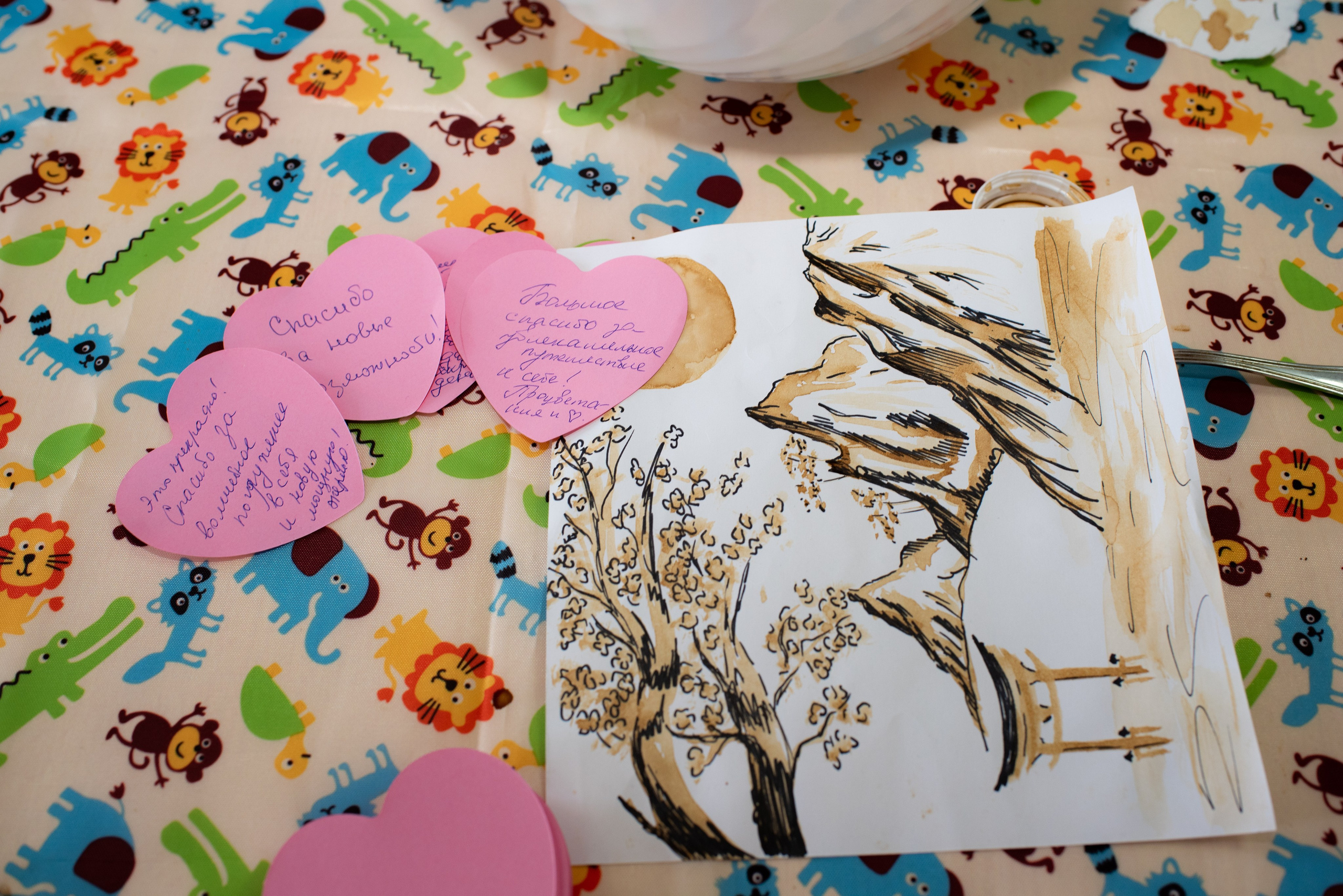 Репортажи, мастер-классы. Фотограф из Санкт-Петербурга Светлана Соколова