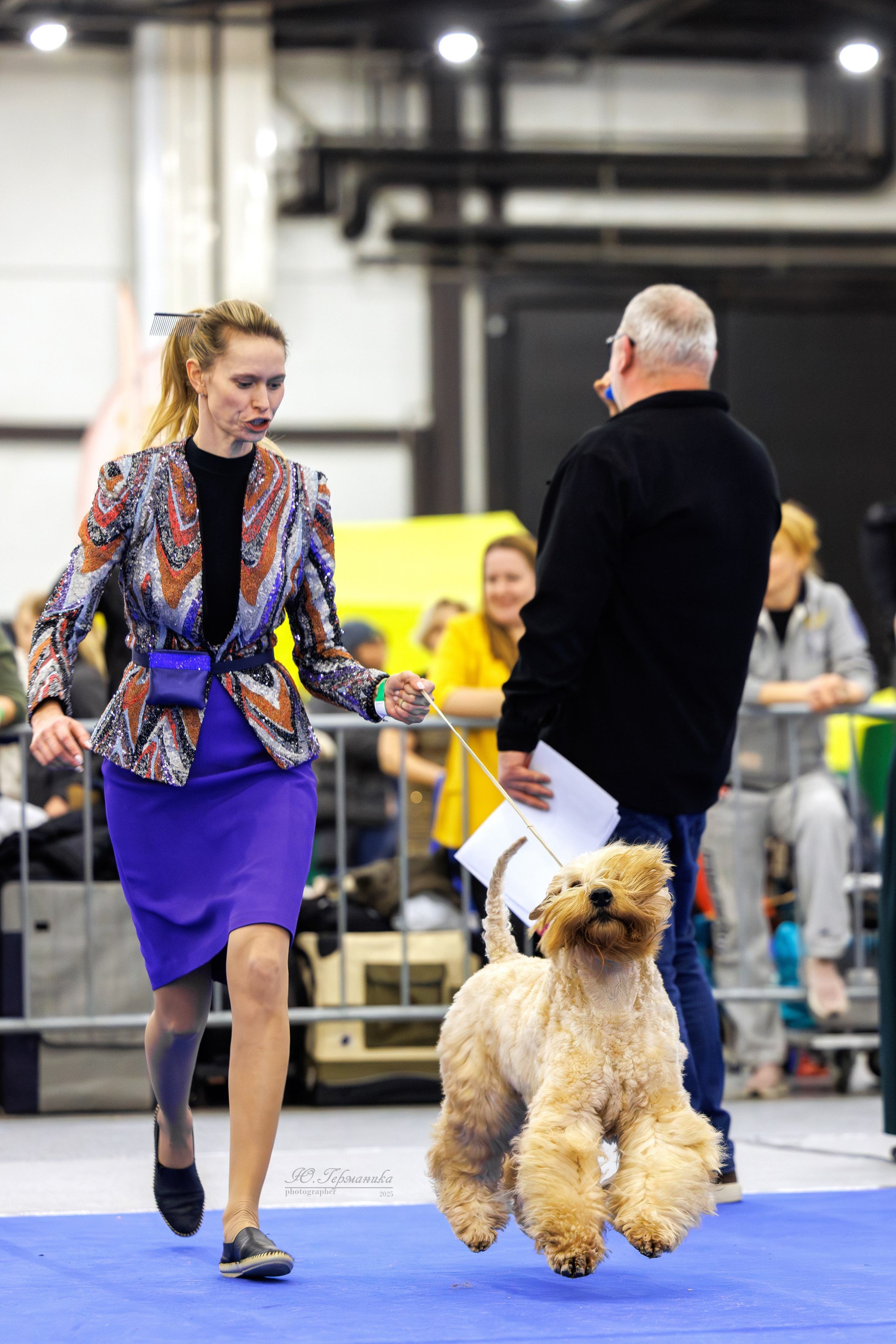 Питер 12-13.12.2025. Фотограф-анималист Юлия Германика