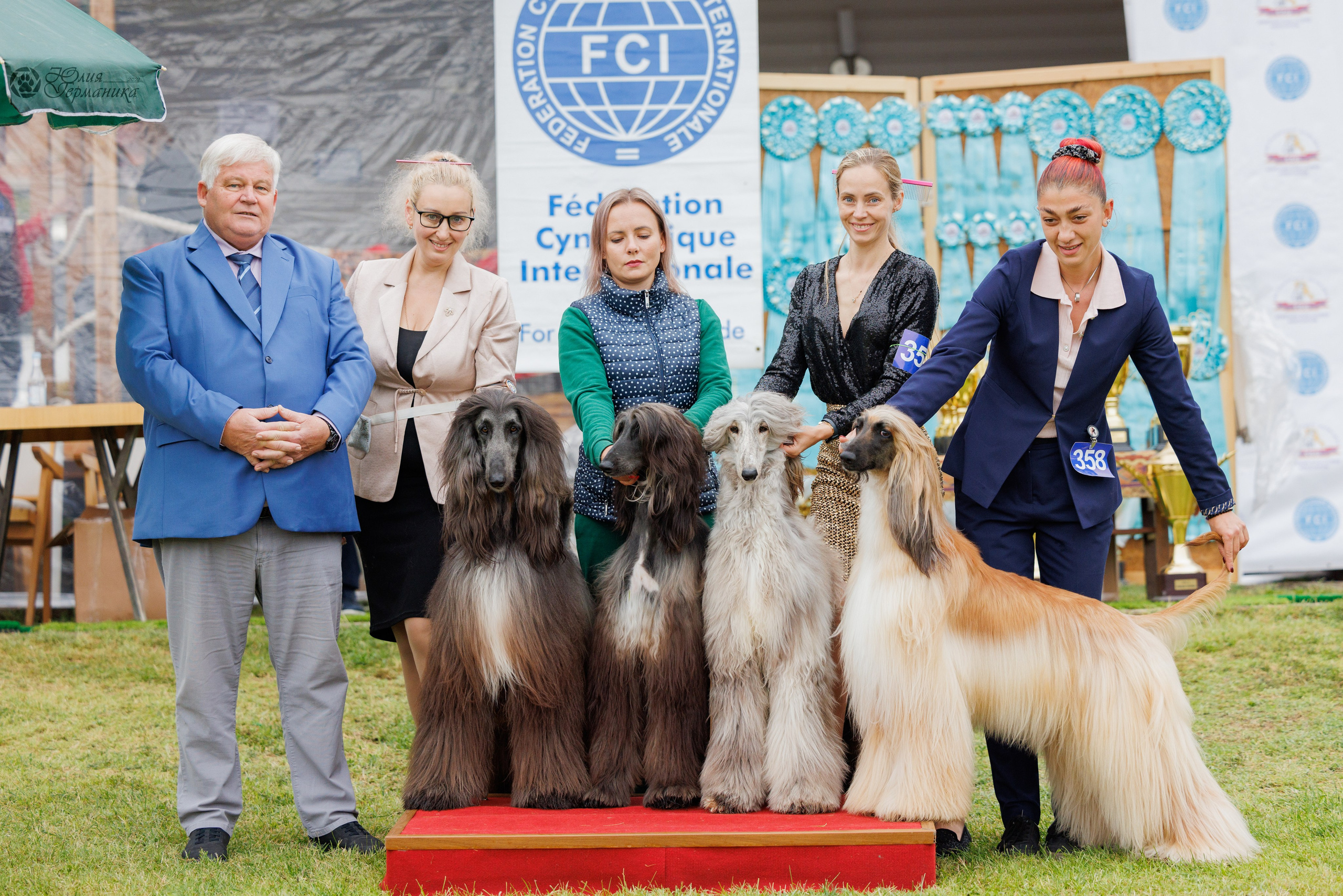 Армения,Ереван 3хCACIB 15-17.10.2024. Фотограф-анималист Юлия Германика