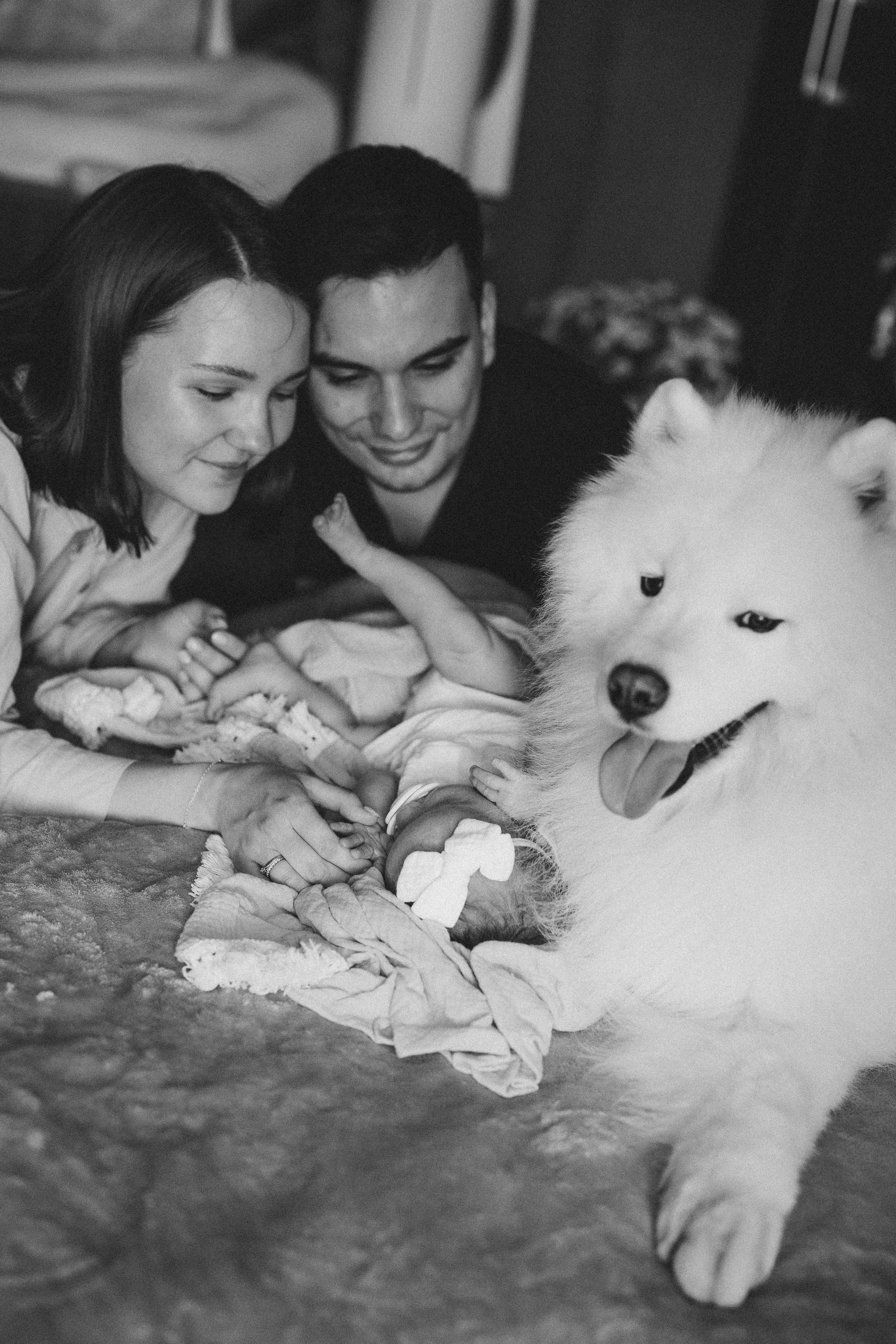 Василиса. Евгения Пелипас