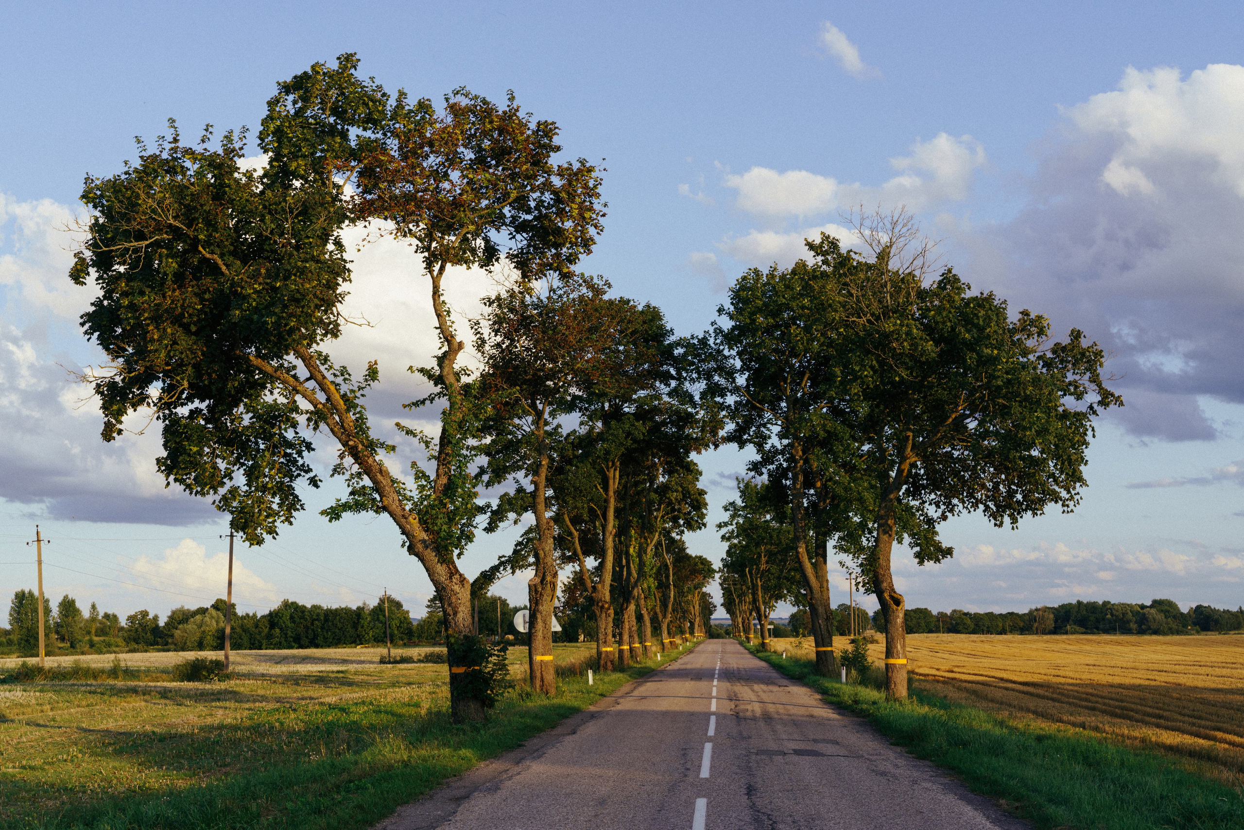 Калининградская область