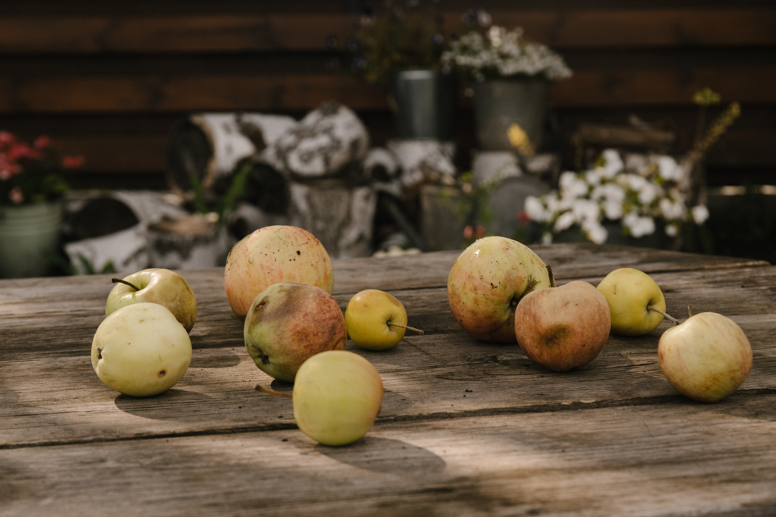 Лена и Андрей. Фотограф Елена Балакина (Челябинск)