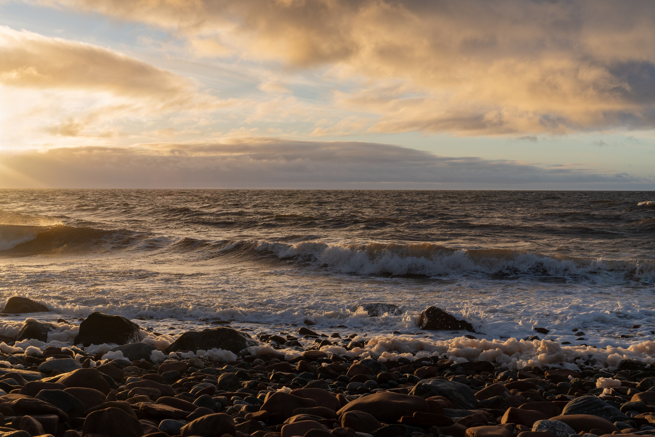 Портфолио. Daria wanderer photography