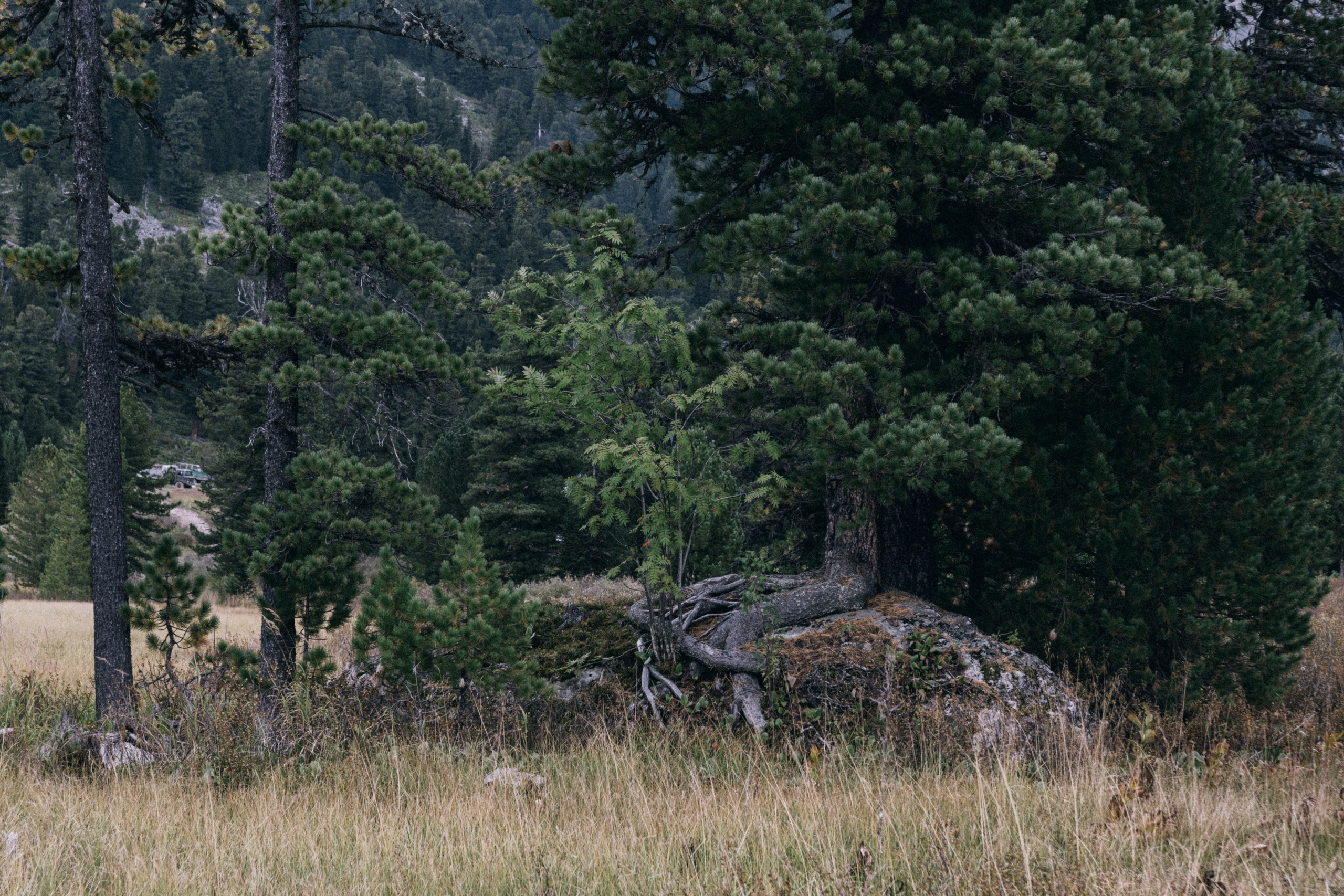 Алтай, природа и эстетика. Александр Чернин. Семейный и событийный фотограф