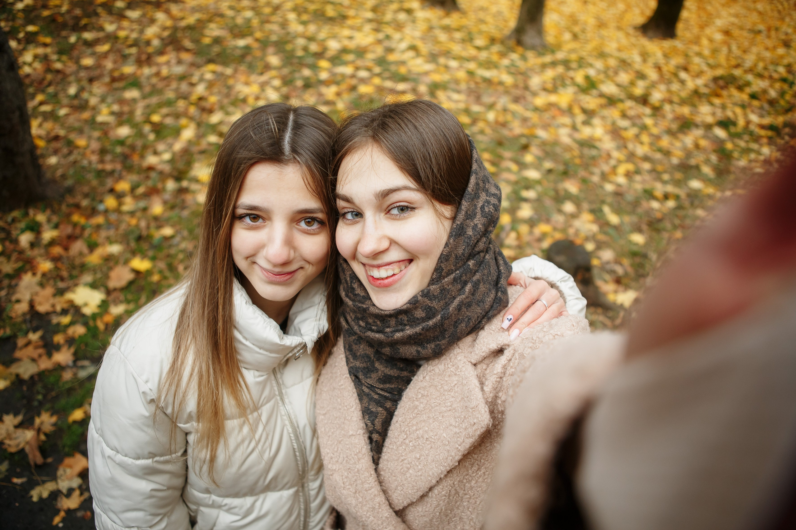 Осень Гимназия 12 11 В 2023 г. Свадебный и портретный Фотограф в Липецке Дмитрий Котюков