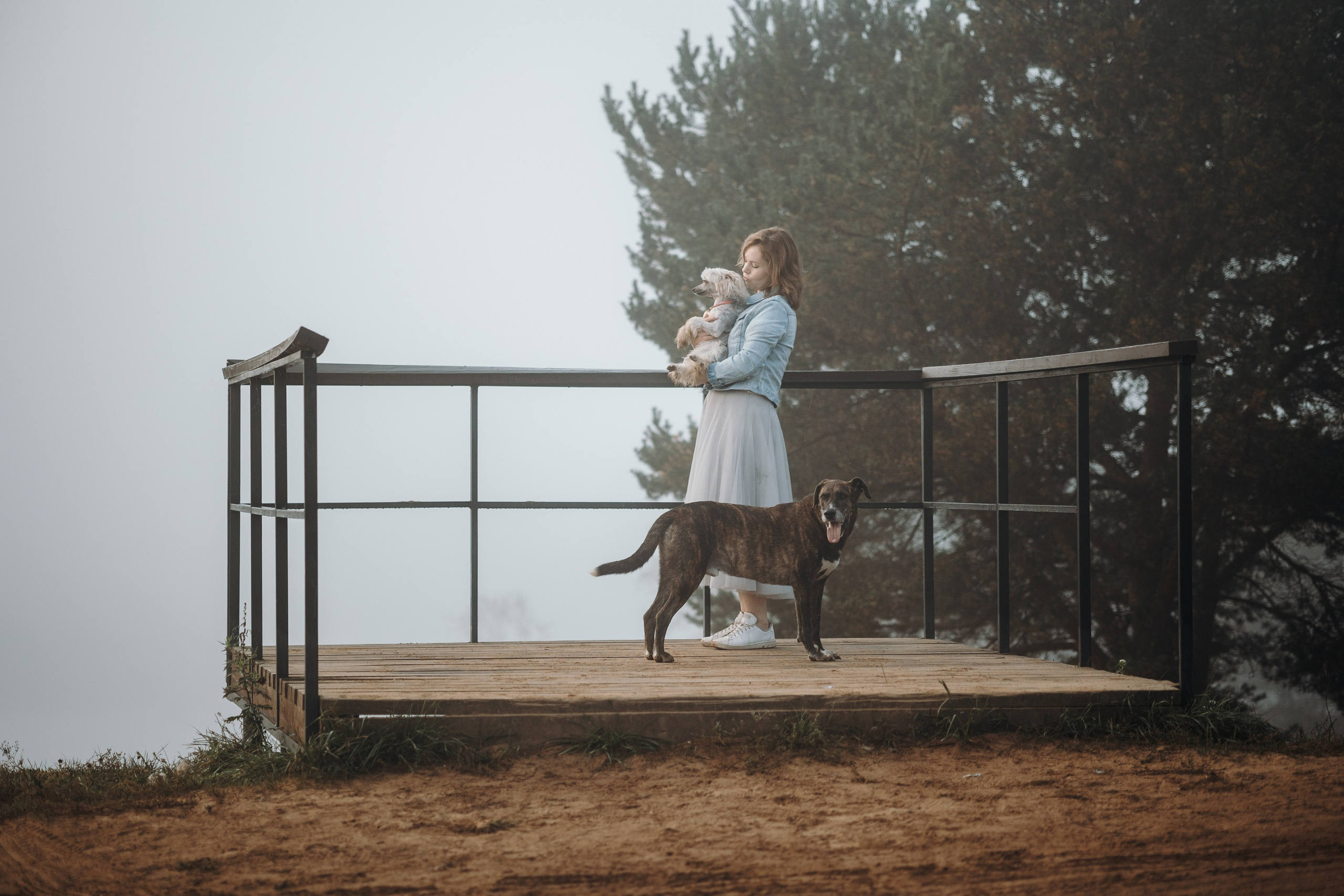 Любовь и ее хвостики. Фотограф — Анималист | Санкт-Петербург