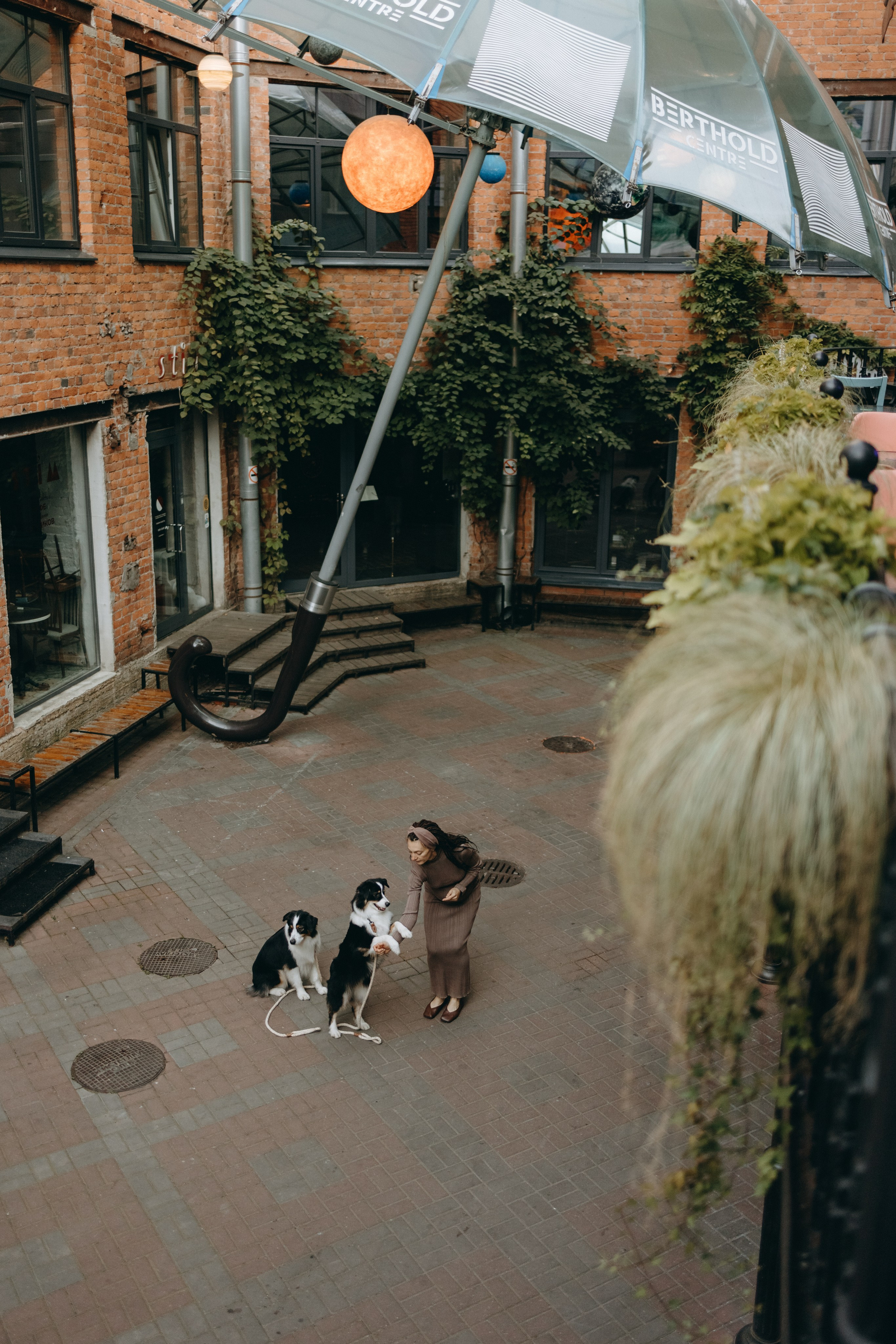 Катя и ее девочки. Фотограф — Анималист | Санкт-Петербург