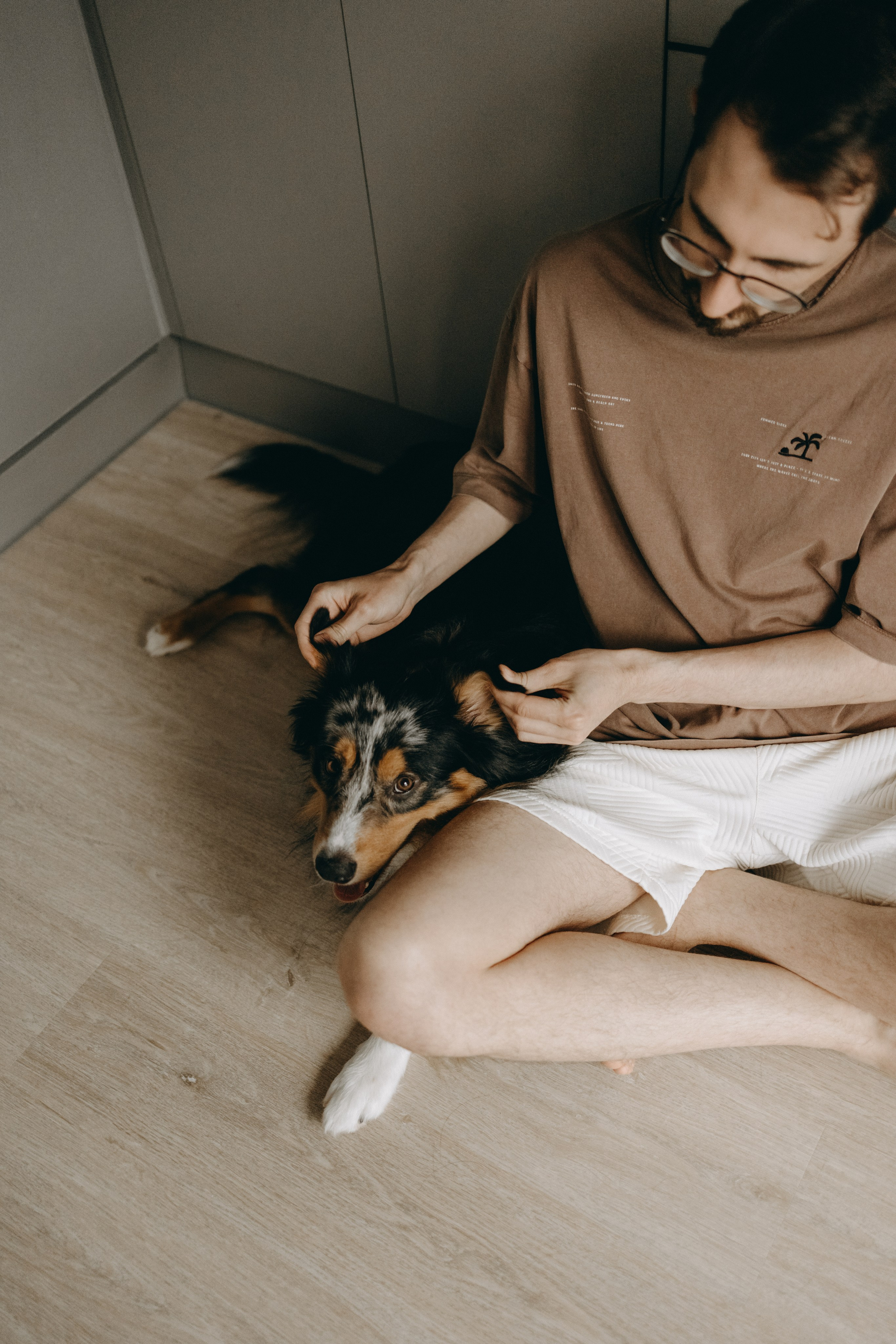 Настя, Никита и их Гром и Мяу. Фотограф — Анималист | Санкт-Петербург