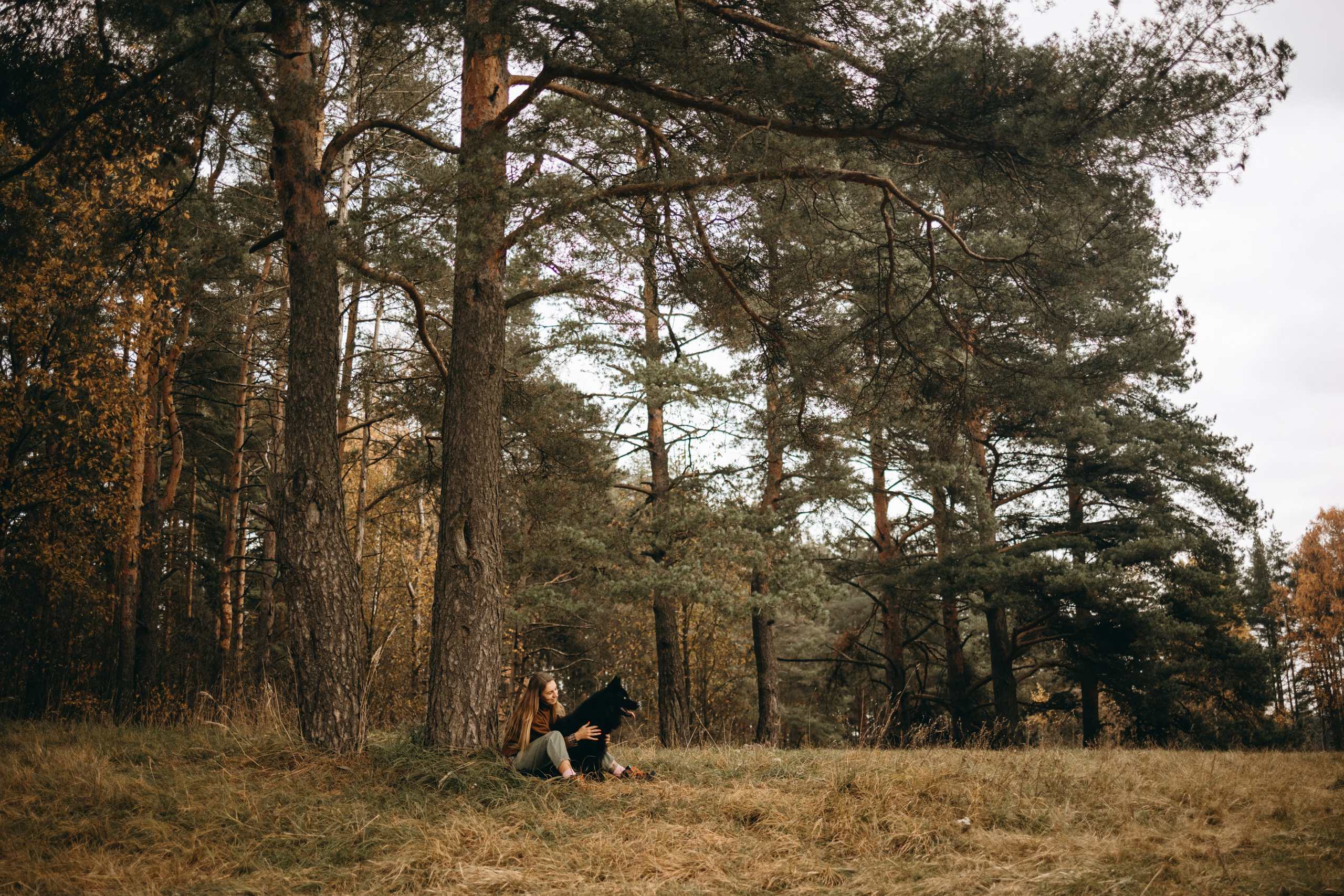Лора и Джанго. Фотограф — Анималист | Санкт-Петербург