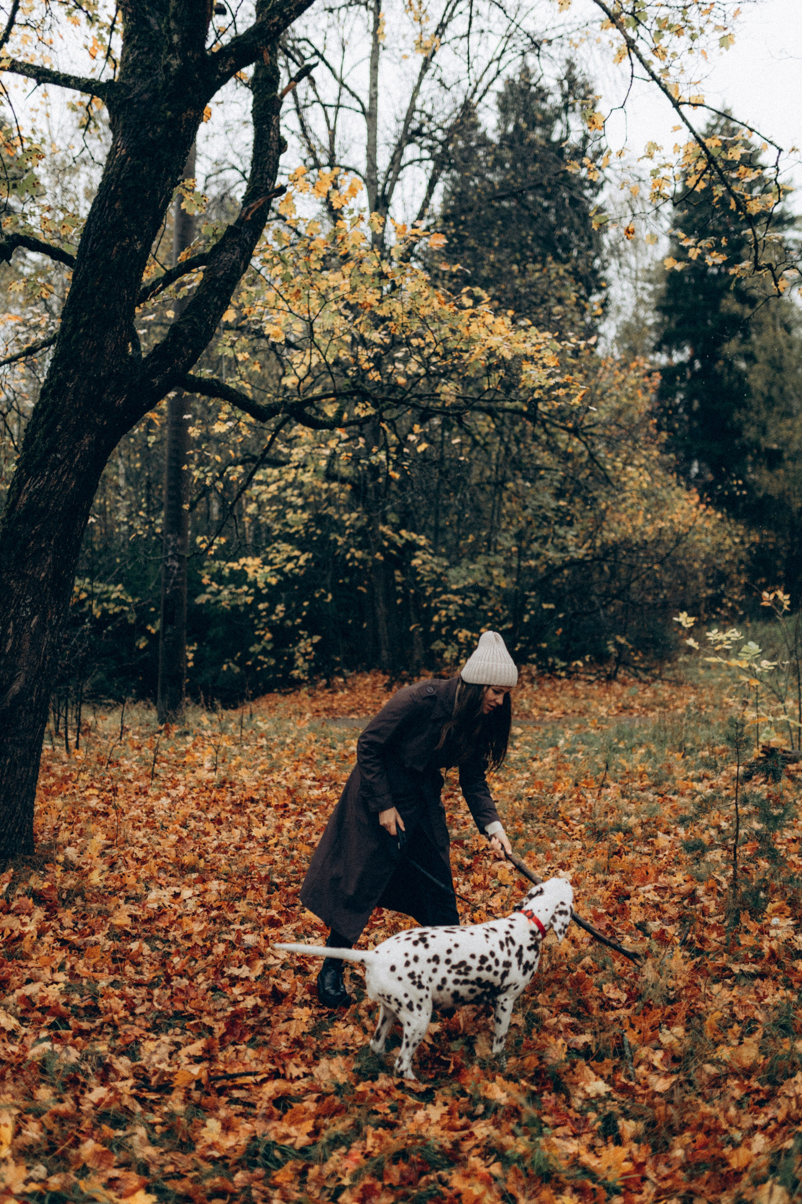 Анфиса & Нисма. Фотограф НОГИНСК, Москва, Анастасия Белая