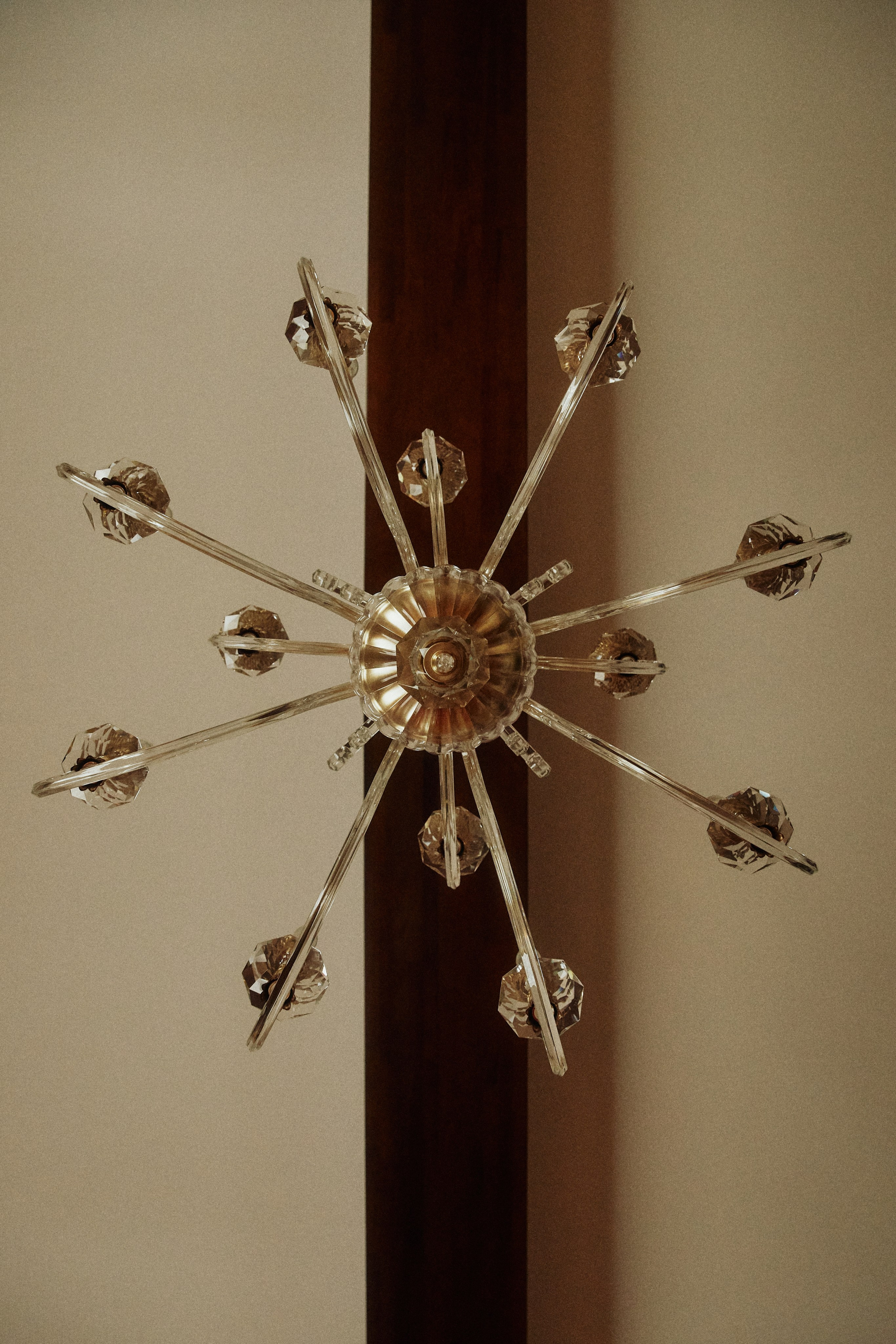 AMORE DA CINEMA. Дмитрий Мазуркевич: Профессиональный Репортажный Фотограф