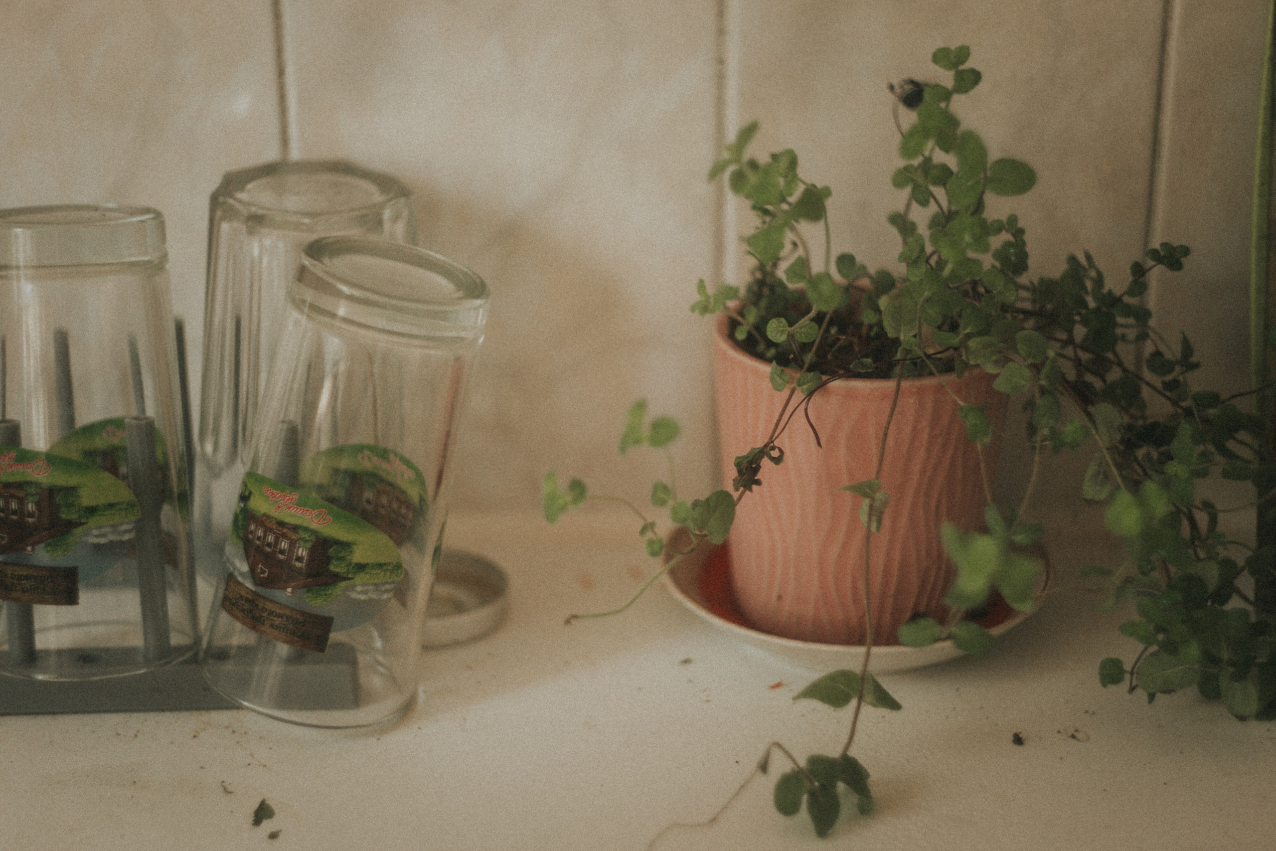 Юля Заковеря. Фотограф в Нижнем Новгороде