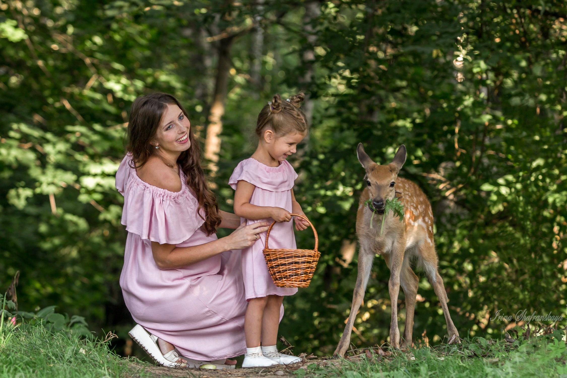Фотопроект «4 лапки». Репортажный фотограф в Москве
