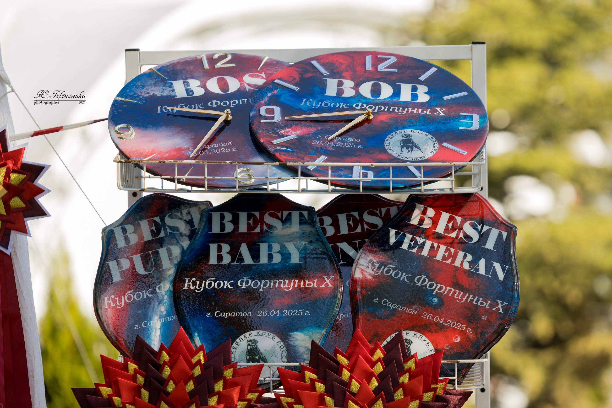 Саратов моно ротвейлеров 26-27.04.2025. Фотограф-анималист Юлия Германика