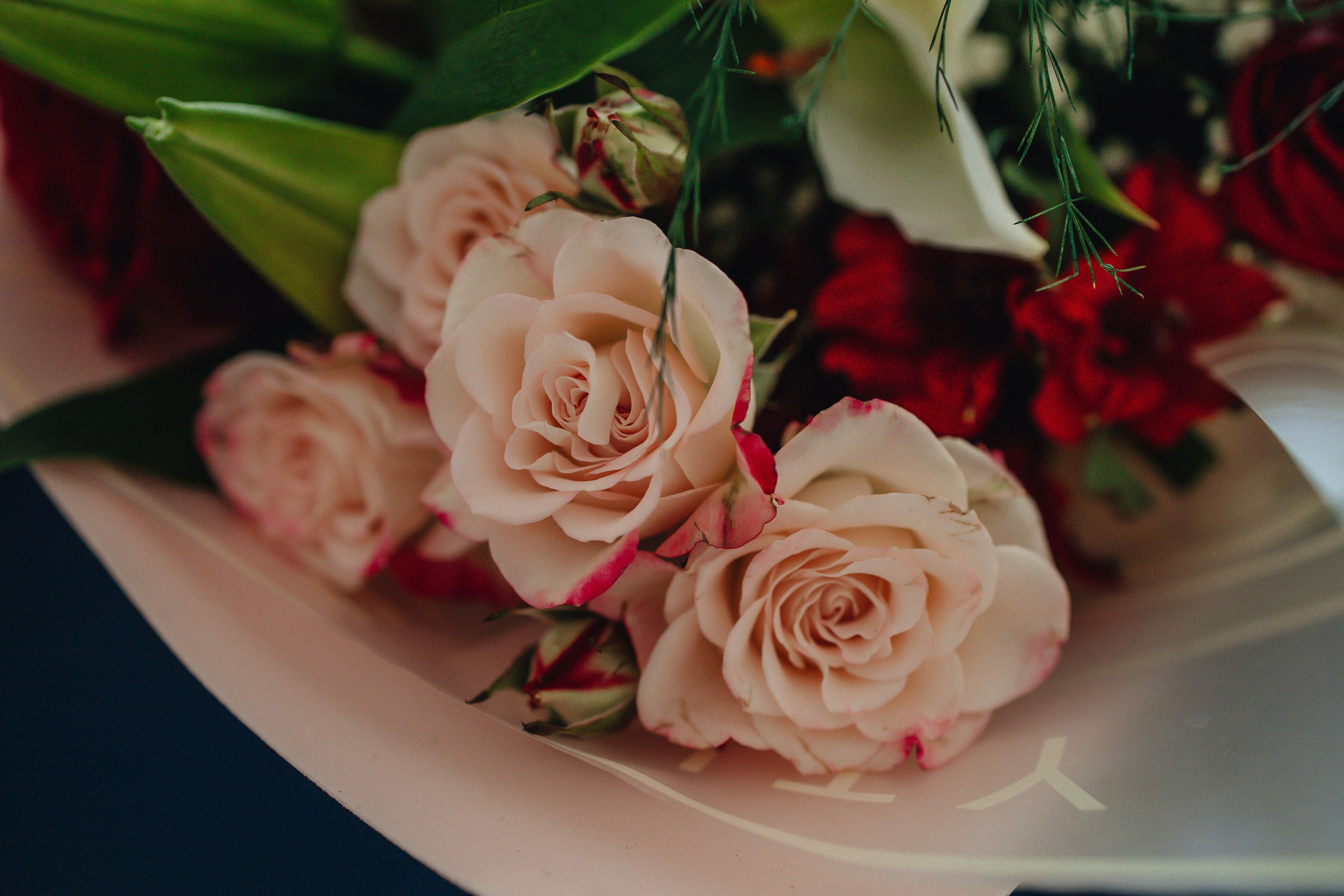 ВЫПИСКА. МиМика — самая детская фотография