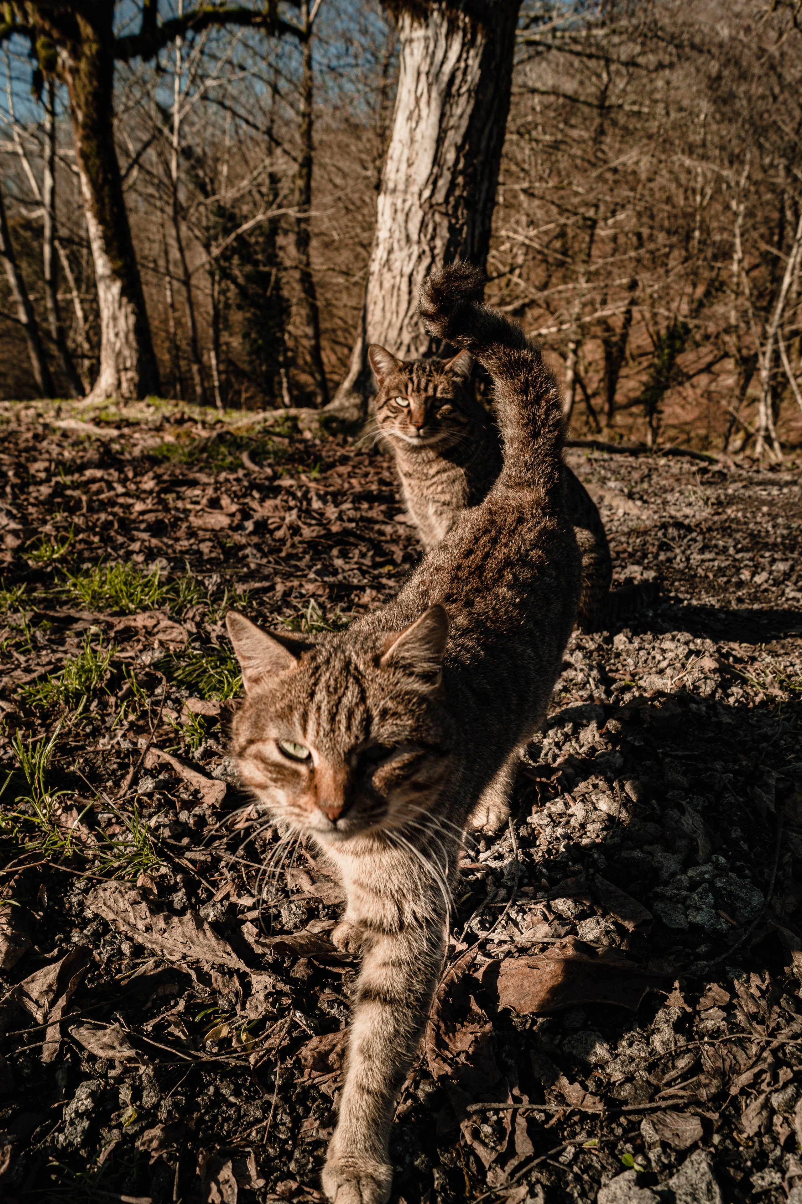 Фотографии Сочи, глазами гида-фотографа. Фотограф в Сочи Елена Лисотина. Фототуры в Сочи