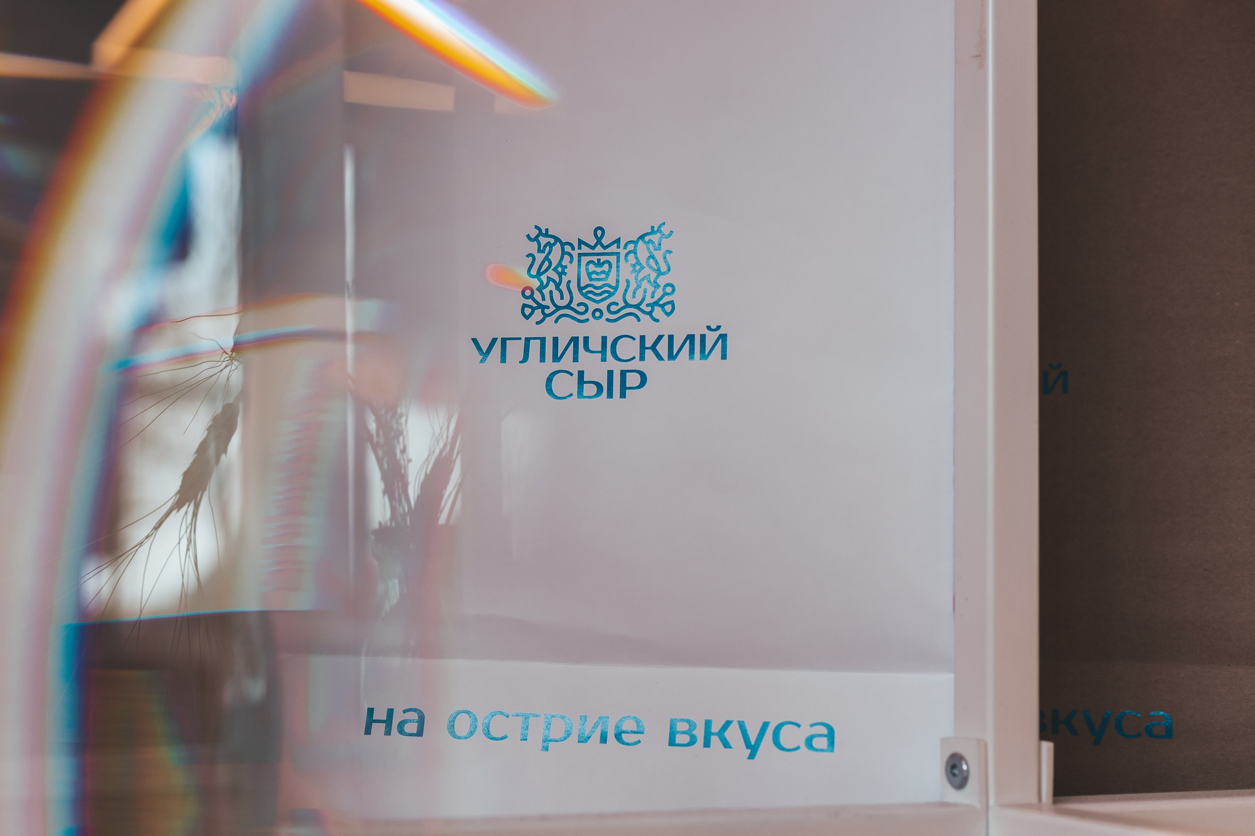 Музей-завод Сыр Культ Просвет. Фотограф в Ярославле Ольга Пыненкова