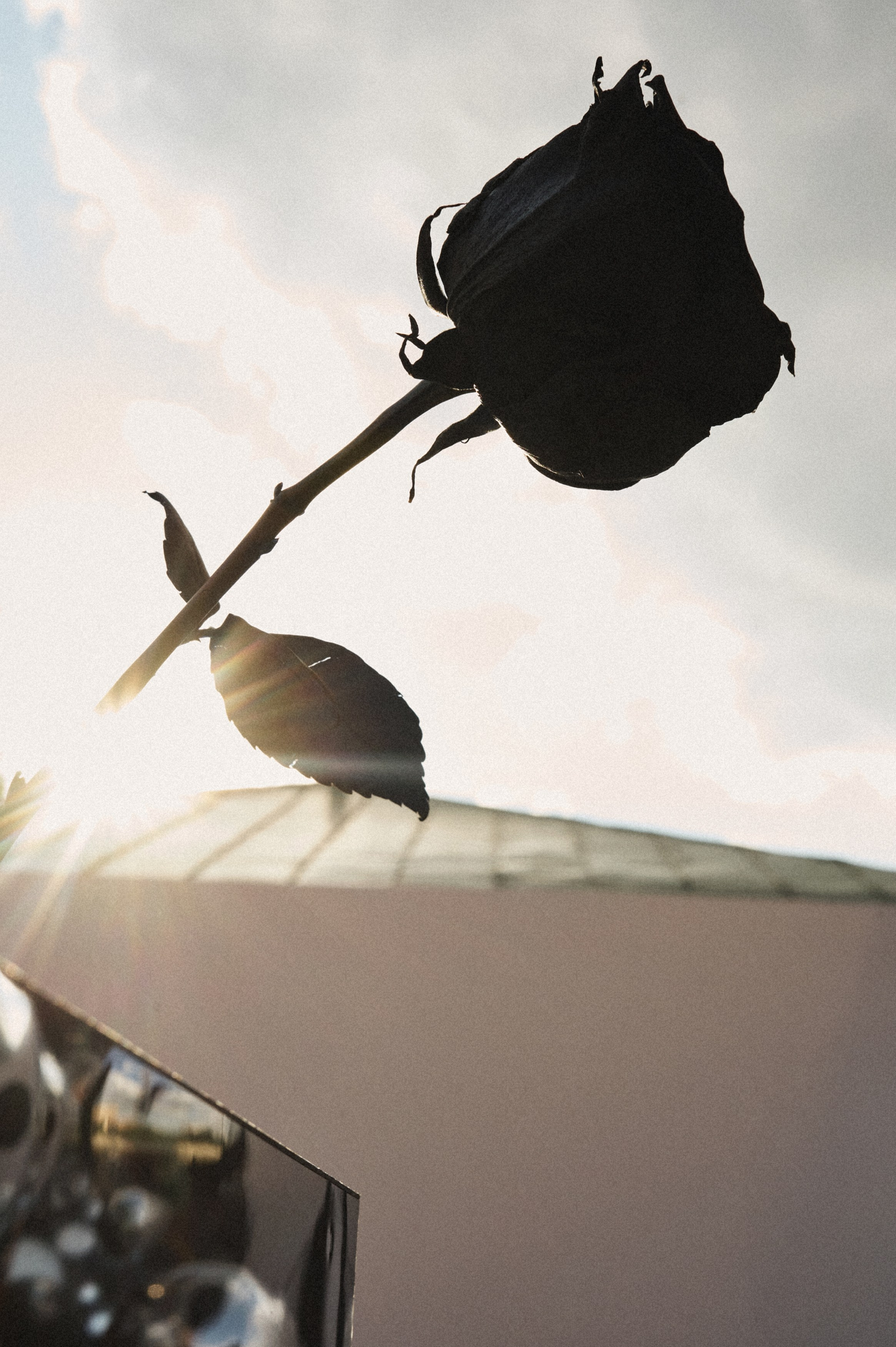 Shameless. Sasha&Karina Photographers