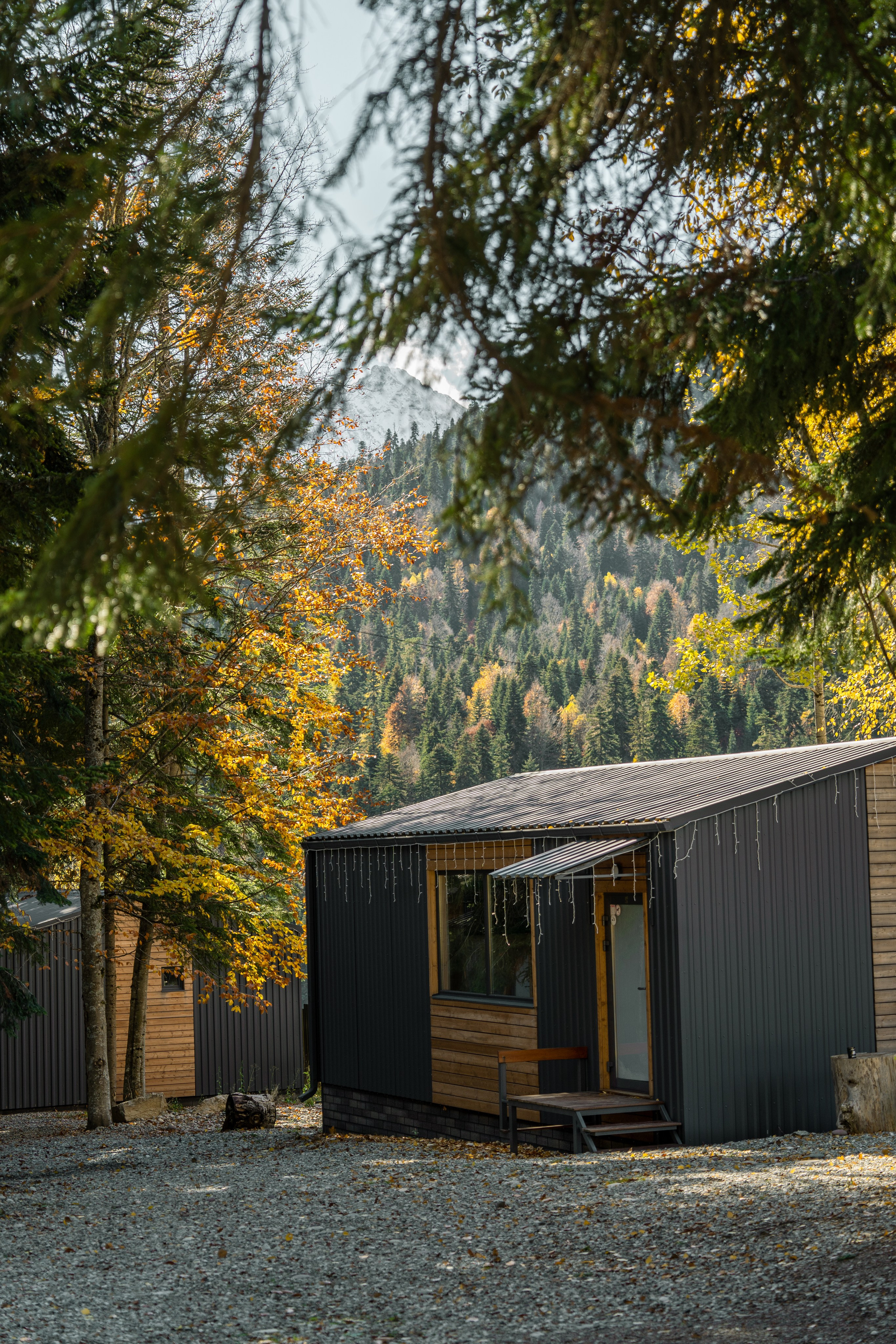 SkyWood. Фотограф и видеограф Елена Хмелевская