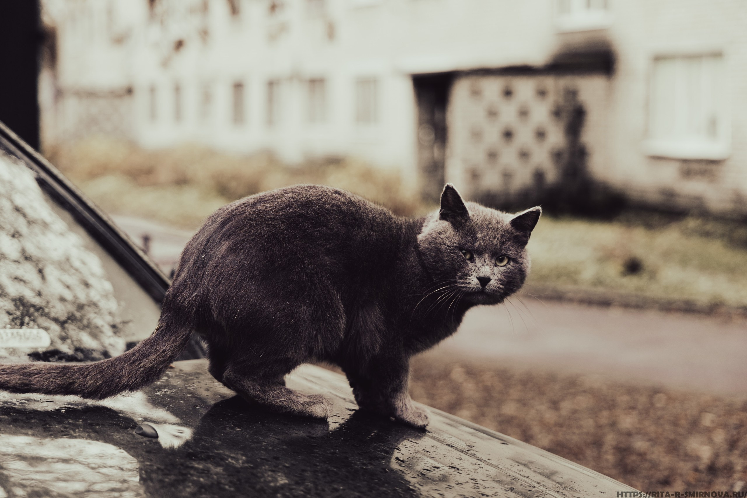 Назад в прошлое