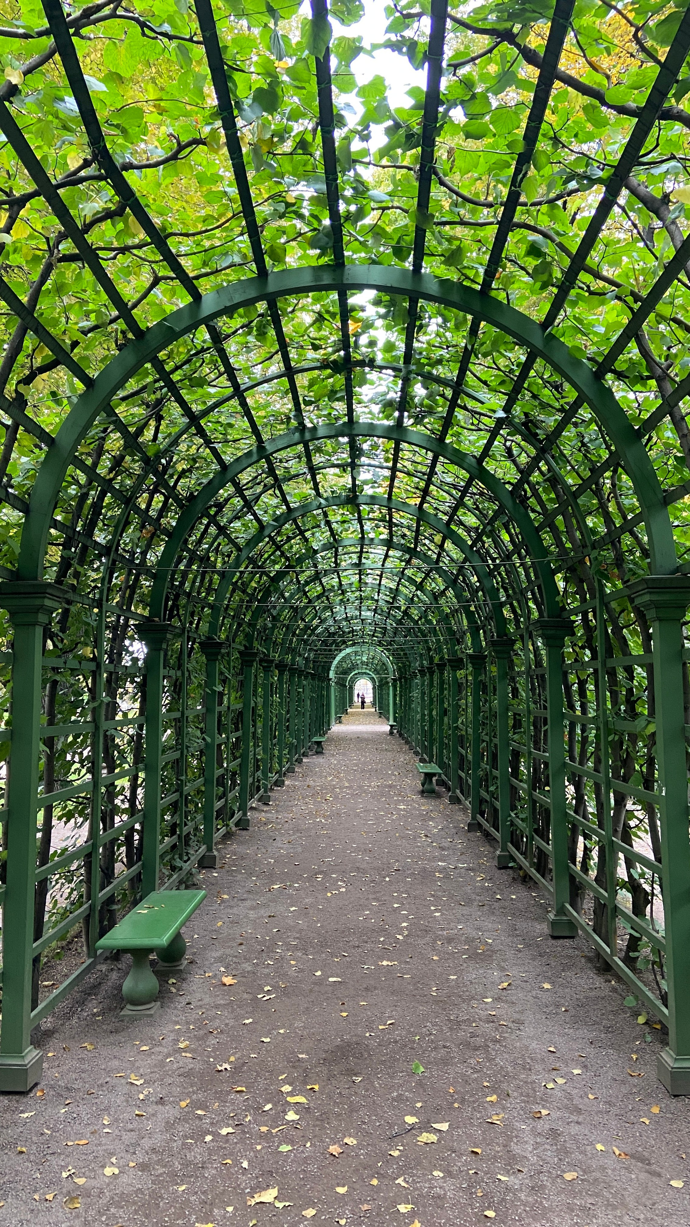 Городские локации в Питере