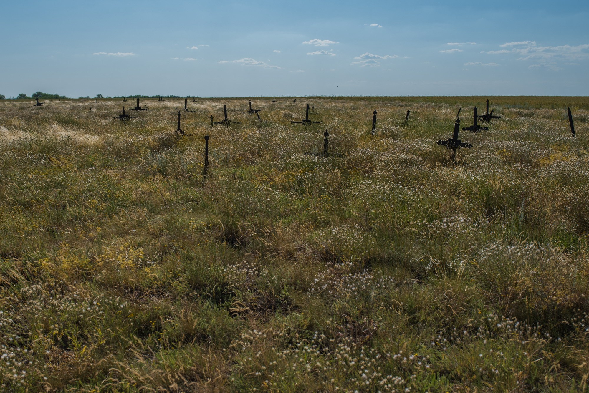 Синдром предков. Наталия Шульгина — визуальный художник, фотограф