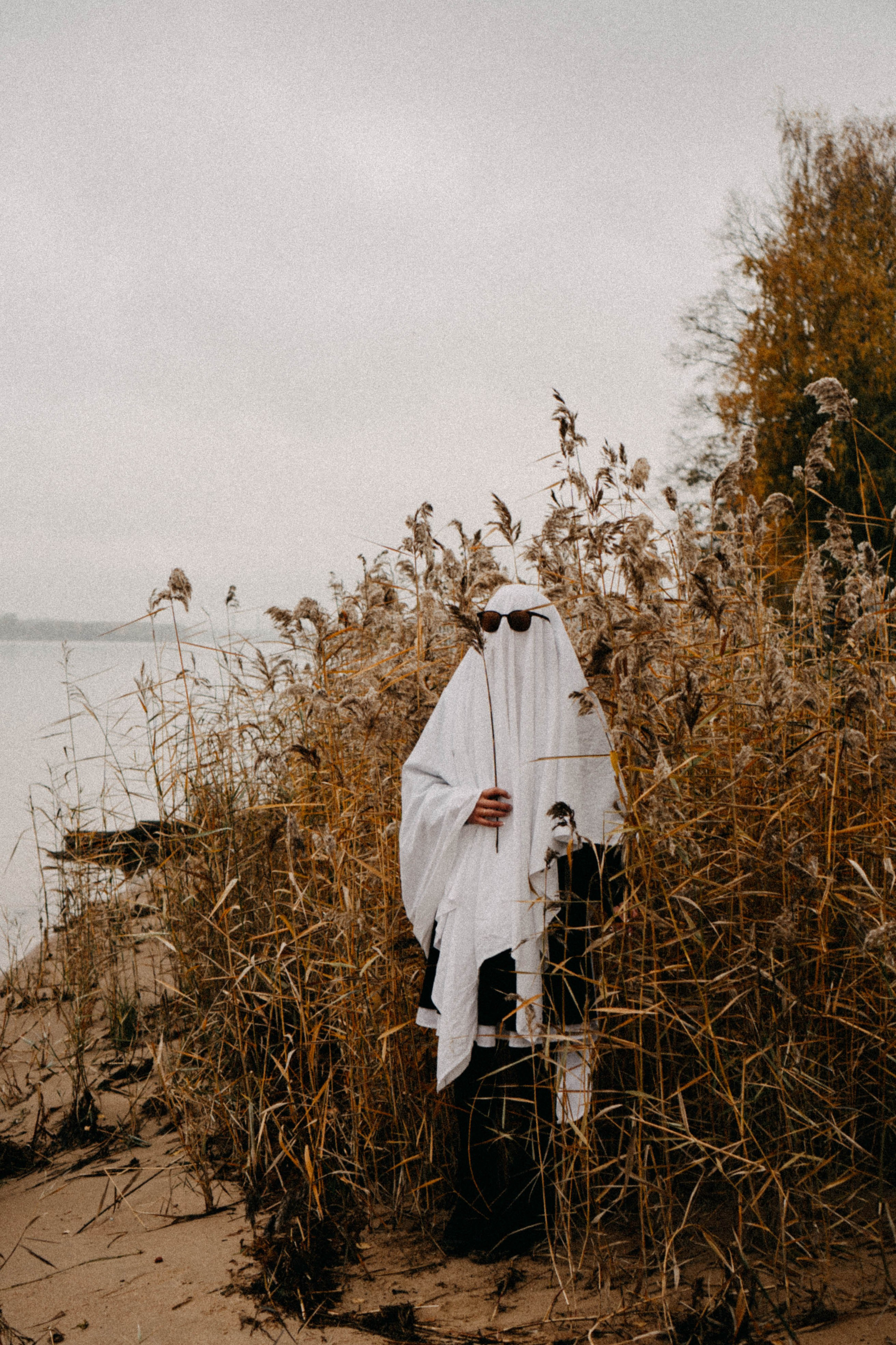 Осеняя. Профессиональный фотограф, Санкт-Петербург — Виктория Богомолова