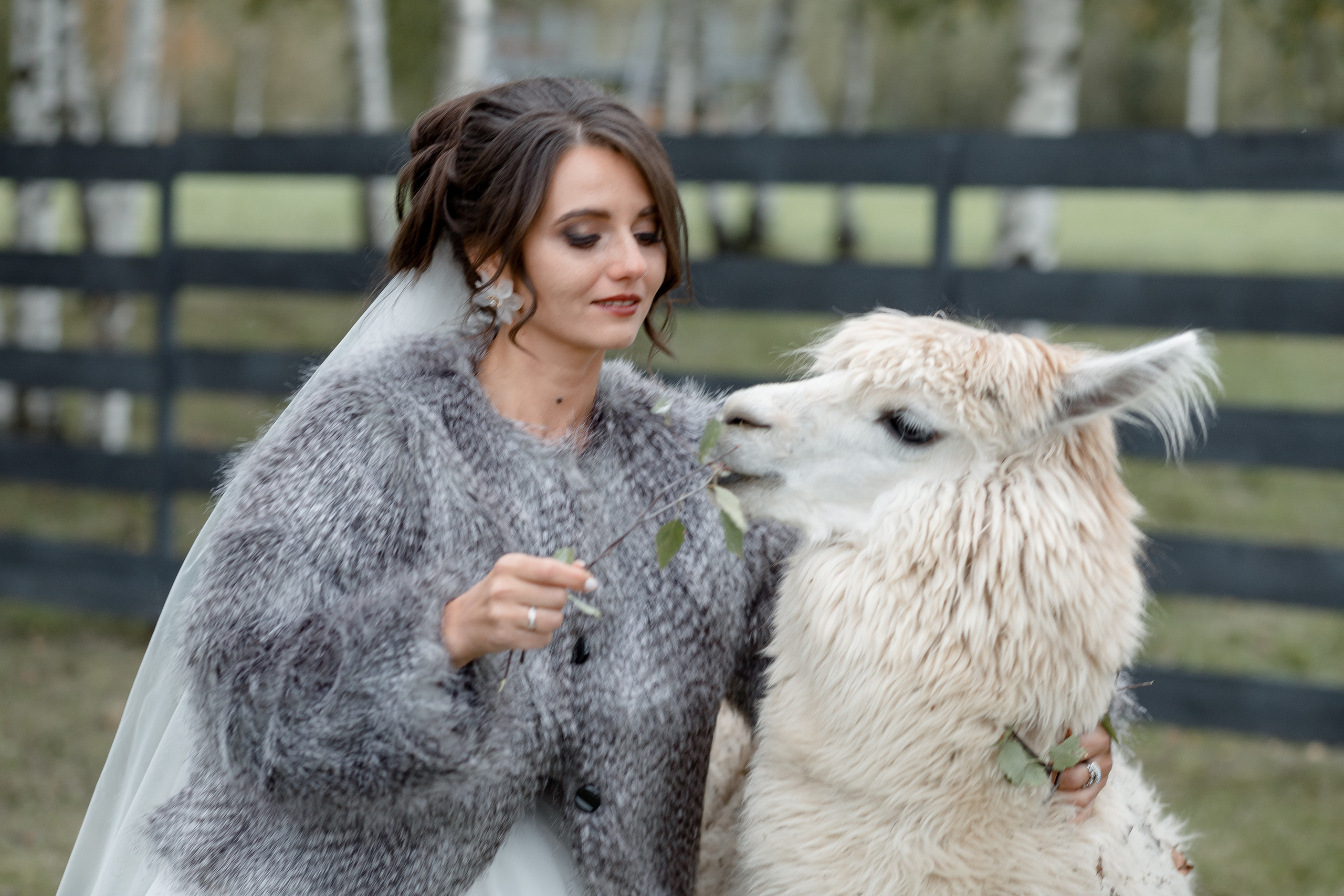 AZIMUT. Свадебный фотограф Дмитрий Воробьев Ярославль