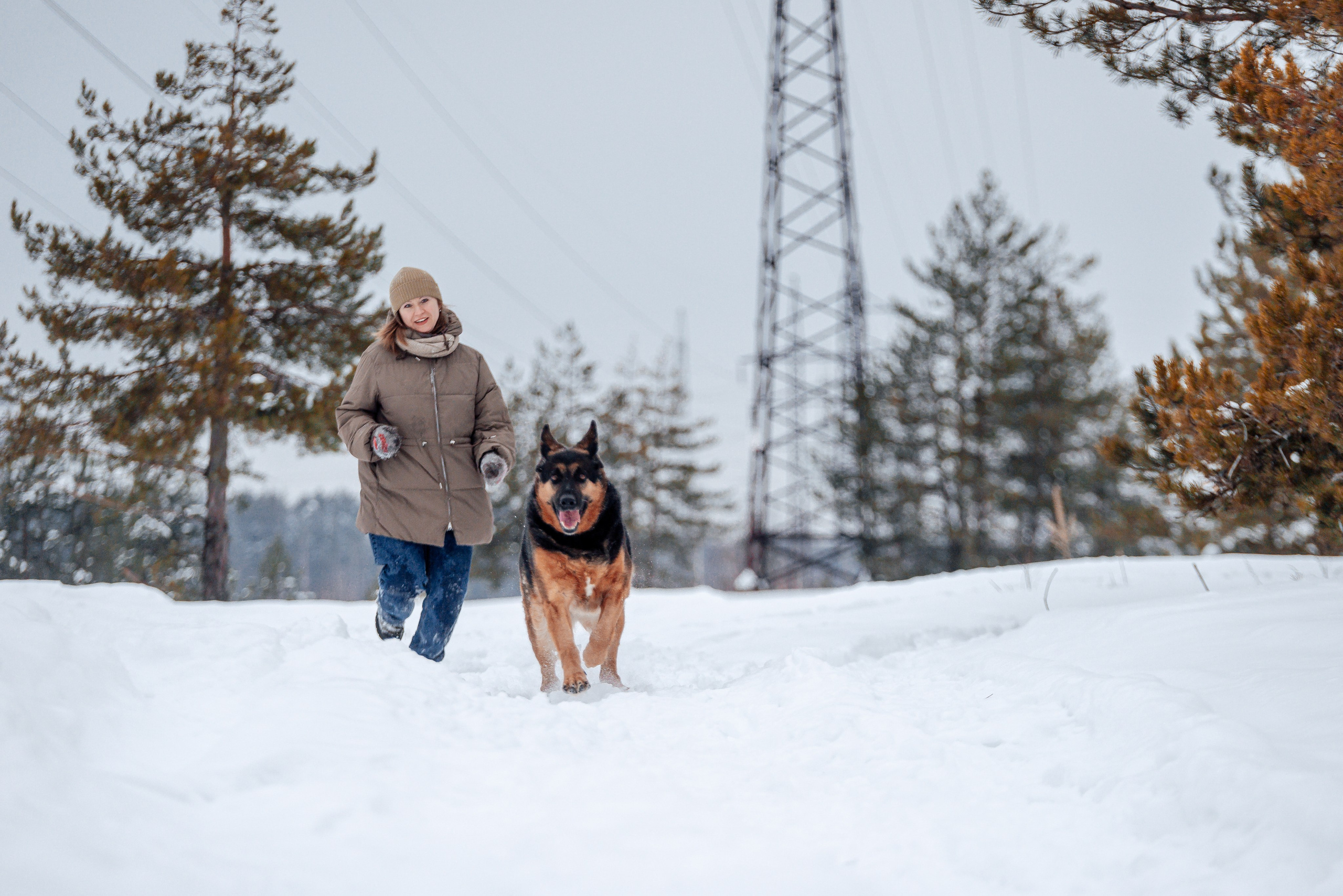 Светлана, Альфа и кошки ✨. Фотограф-анималист Анастасия Парфенова|Екатеринбург
