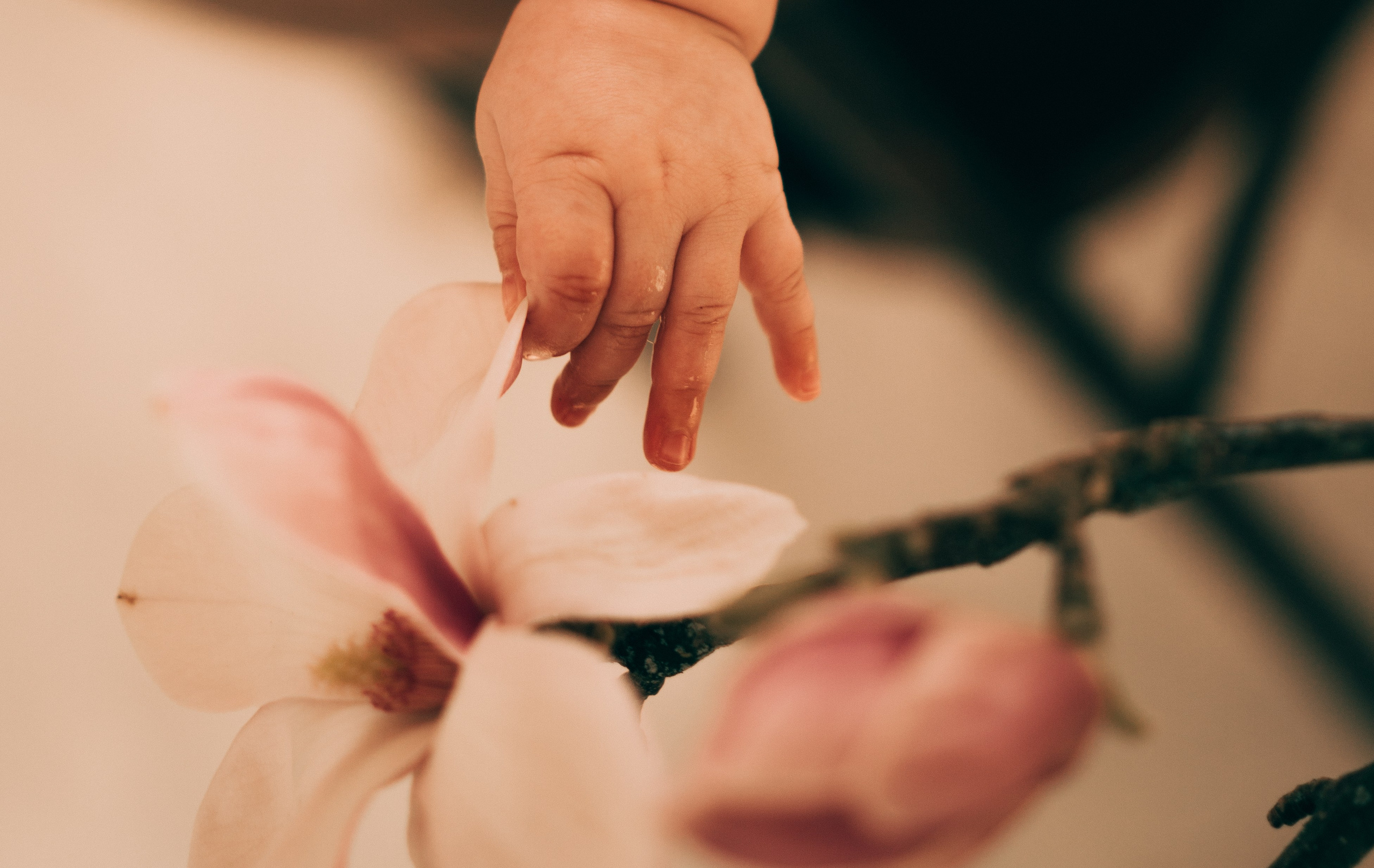 Цветочное материнство. Семейный, ньюборн фотограф, фотограф на роды в Москве, Виктория Тюльдюкова