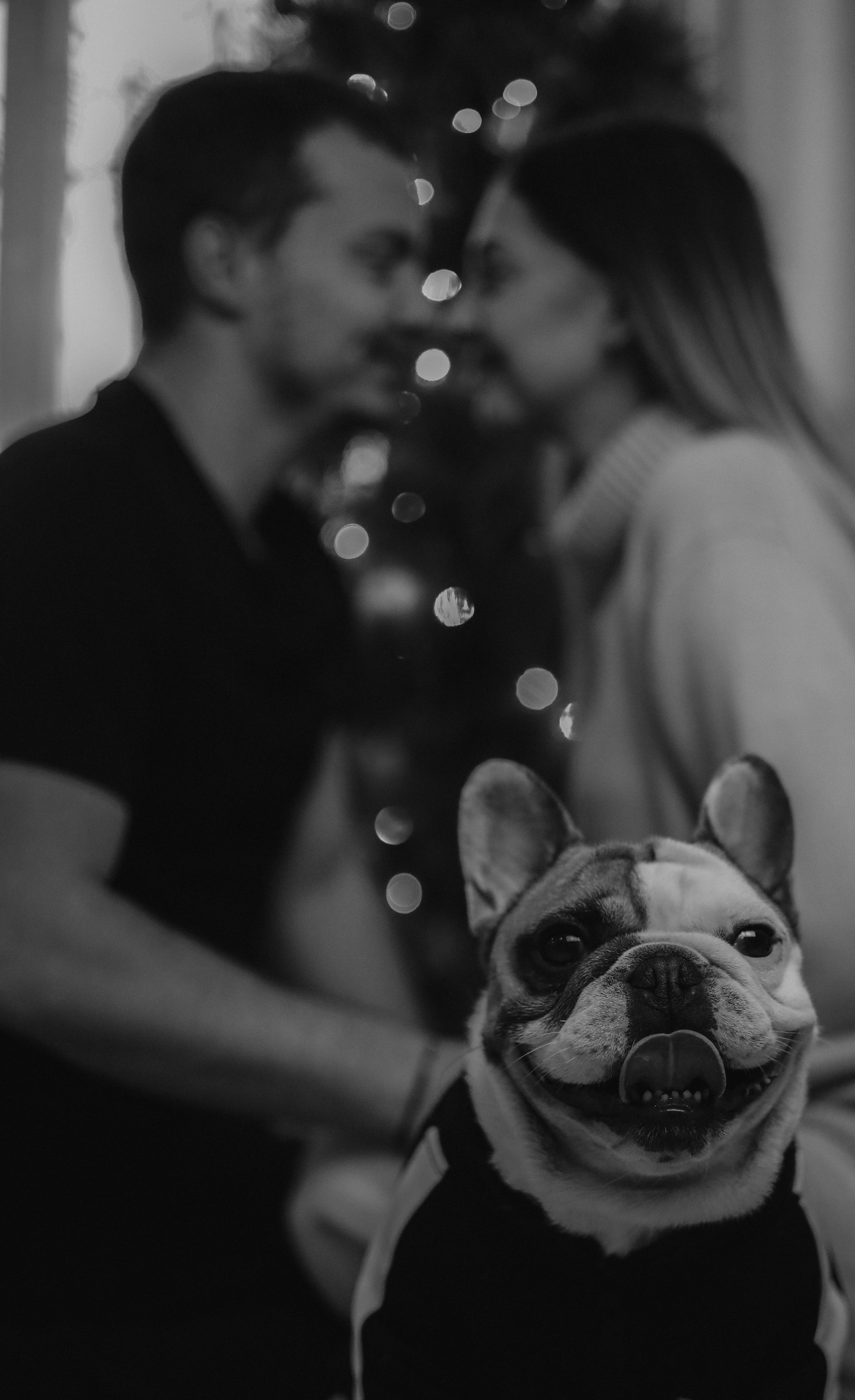 Юля, Сергей, Ричи. Фотограф Анастасия Гордовская