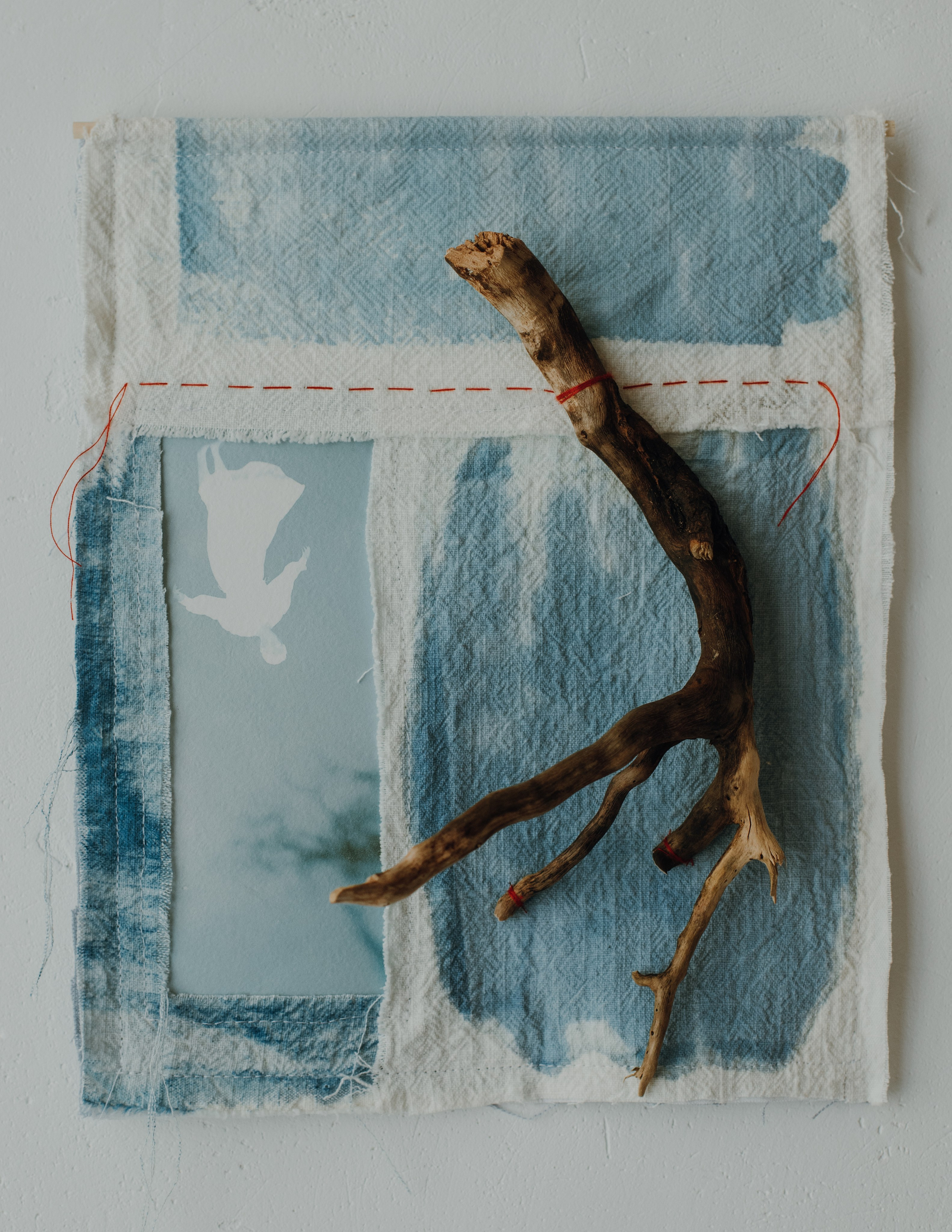 КОРНИ. HOME