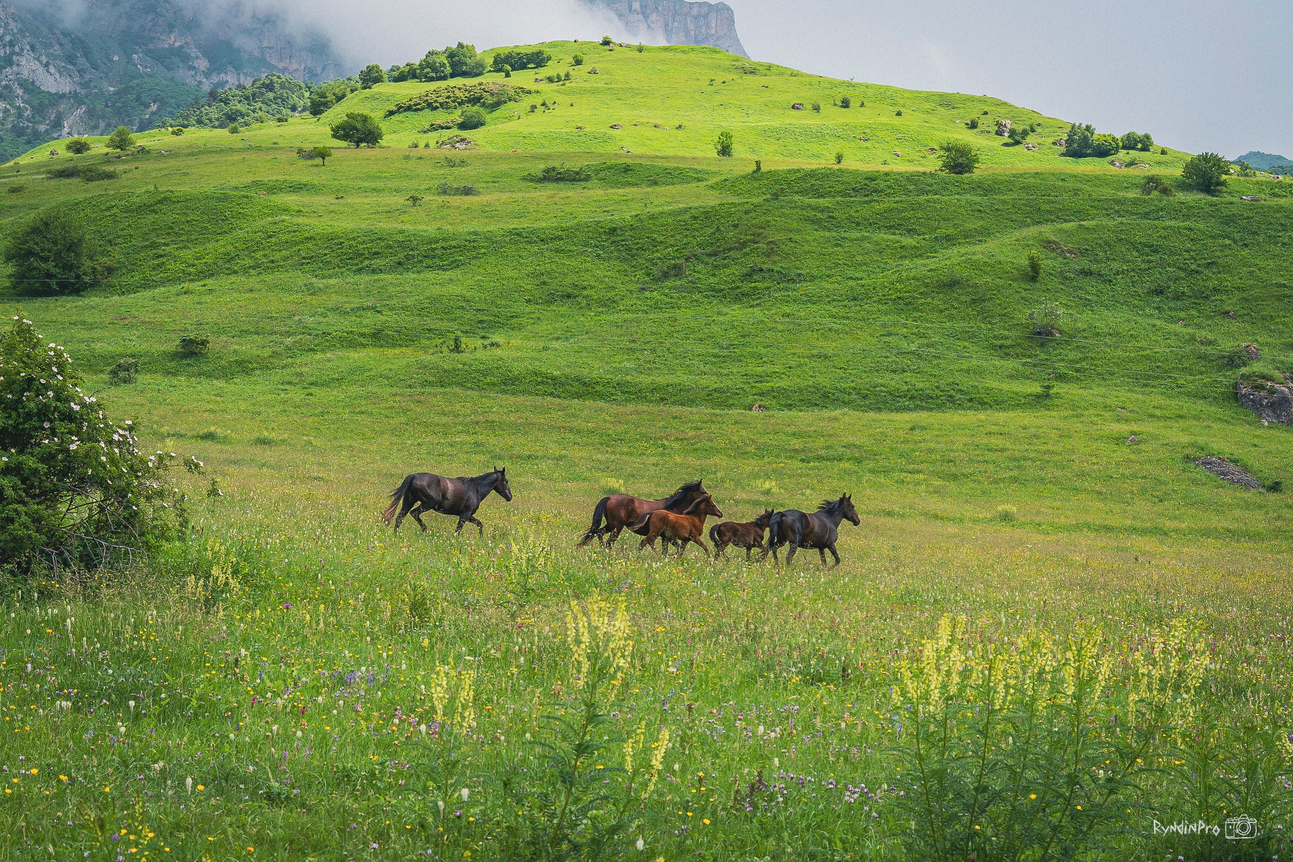 Велотур Осетия 16.06.2024 Ковальтур. Репортажный фотограф в Краснодаре Рындин Дмитрий