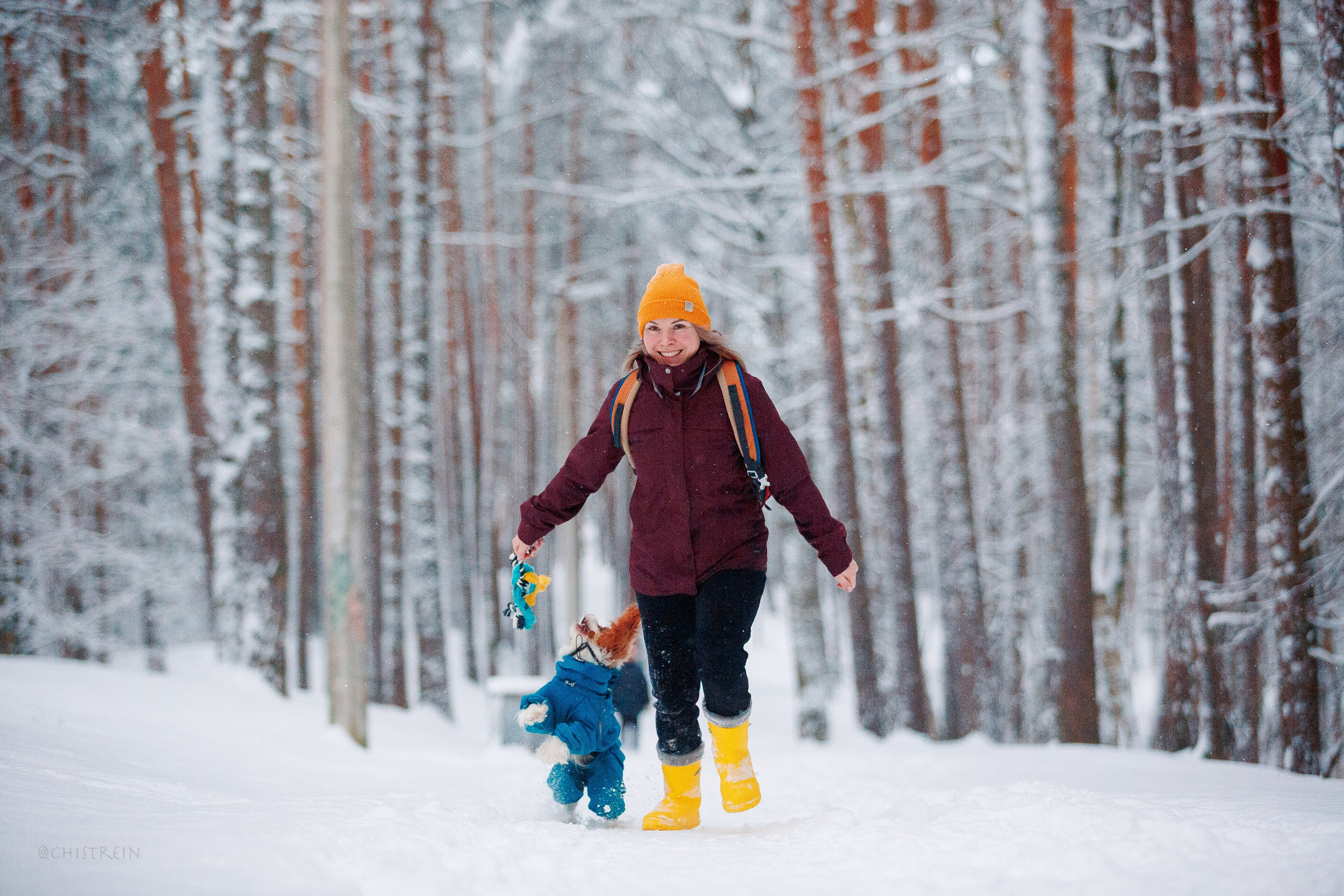 Внезапно апрельская зима. Фотограф-анималист Наталия Чистюхина в г. Сосновый Бор и ЛО