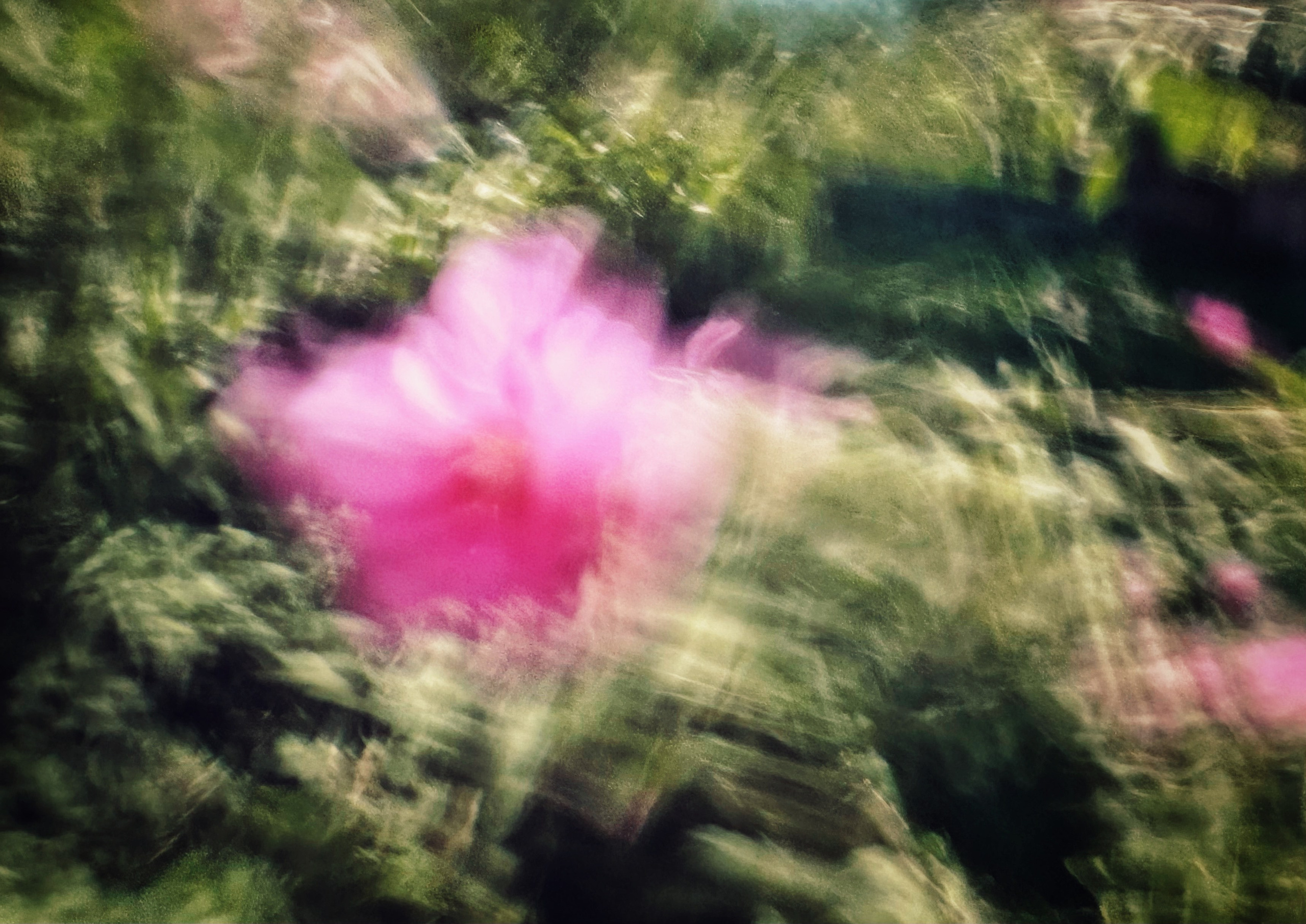 Портрет. Фотограф • Елена Миронова