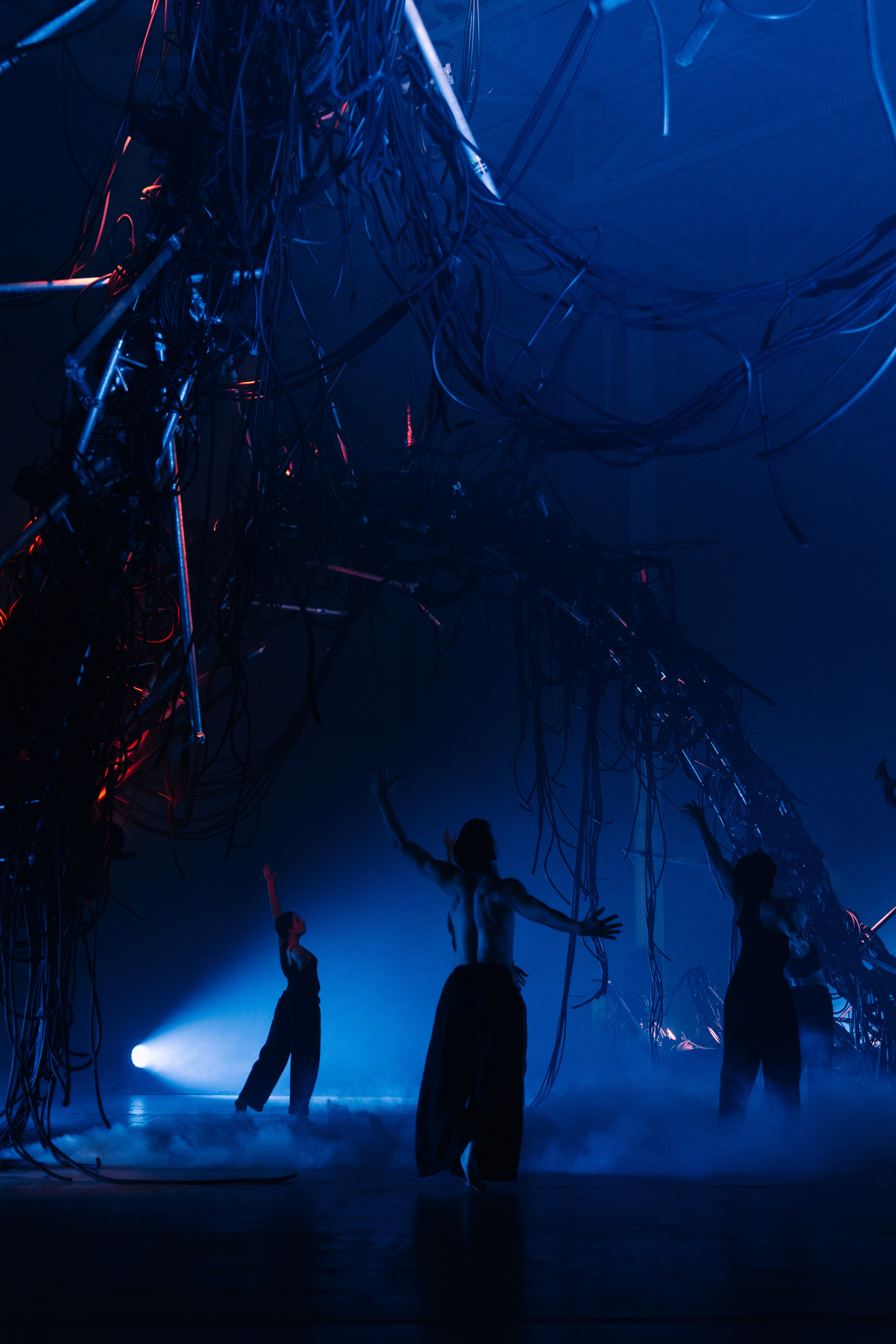 PERFORMA, The Hour of the Horse. @tomrus: Рустам Шагиморданов — фотограф