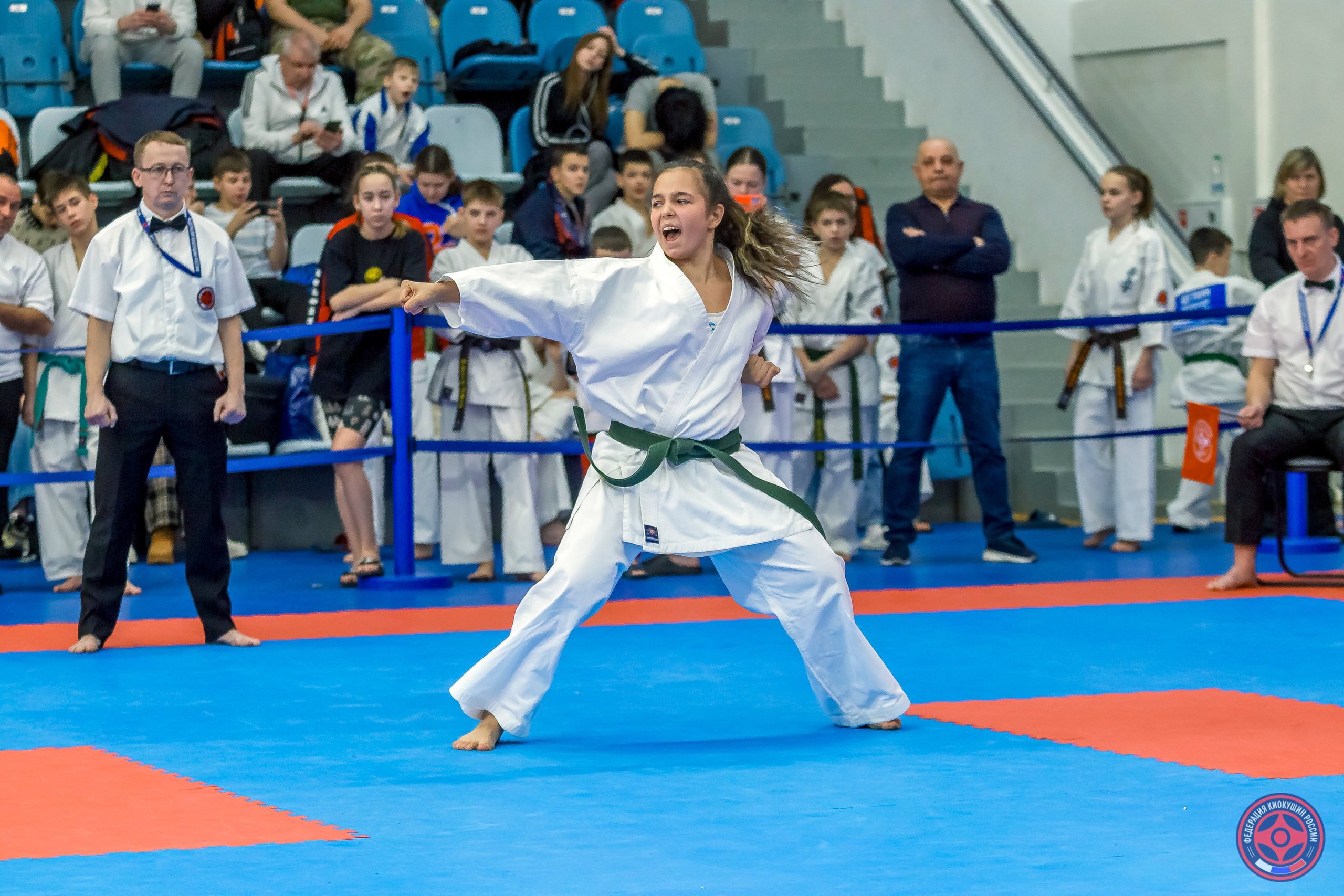 Международный турнир по киокушин «Открытый кубок Seiken». Репортажная съемка в Москве и области. Анималистика