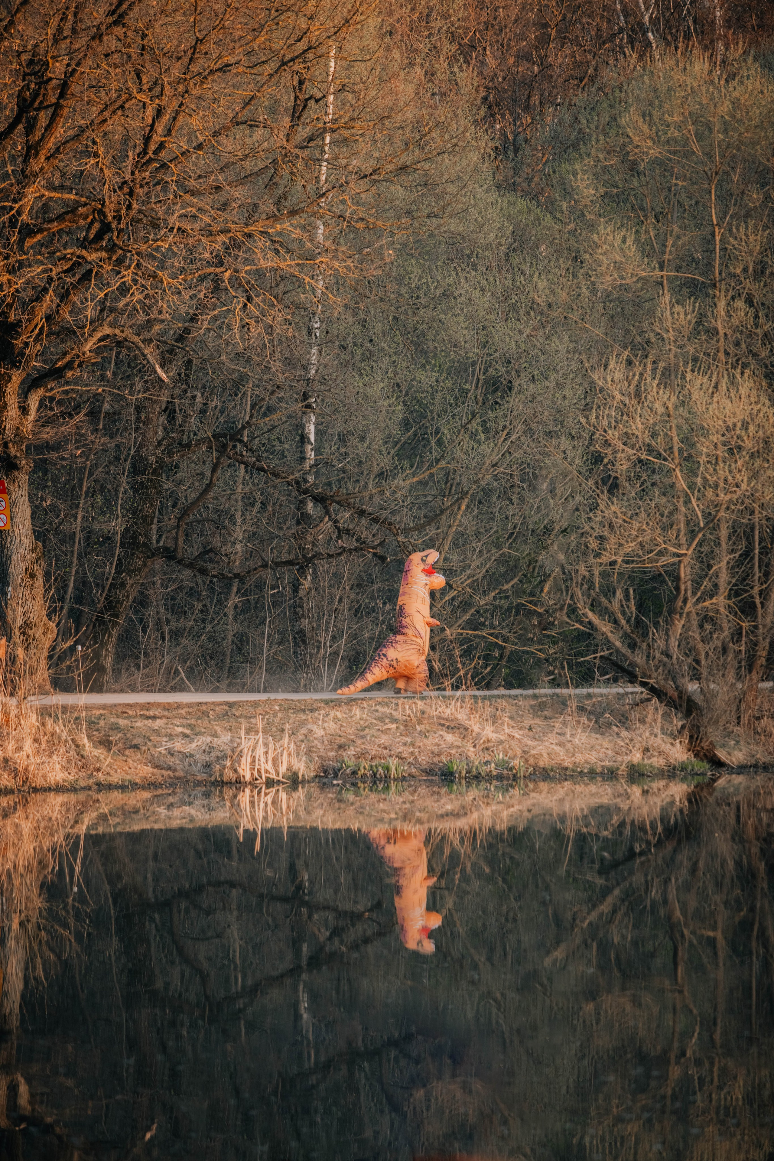 Open Band trail «Мгла». Александра Мельниченко/ Бегающий фотограф