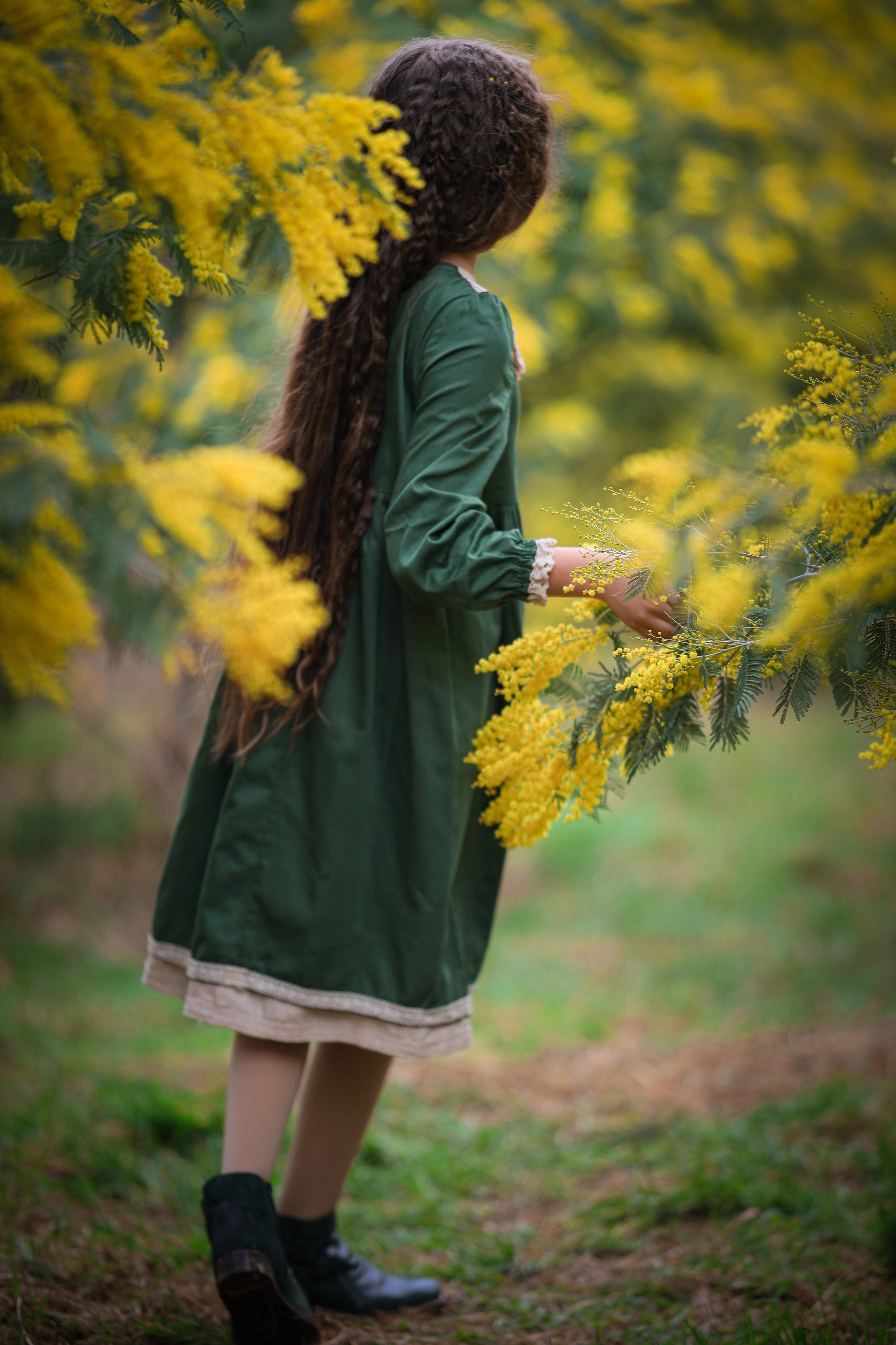 девочка в саду мимозы в Сочи