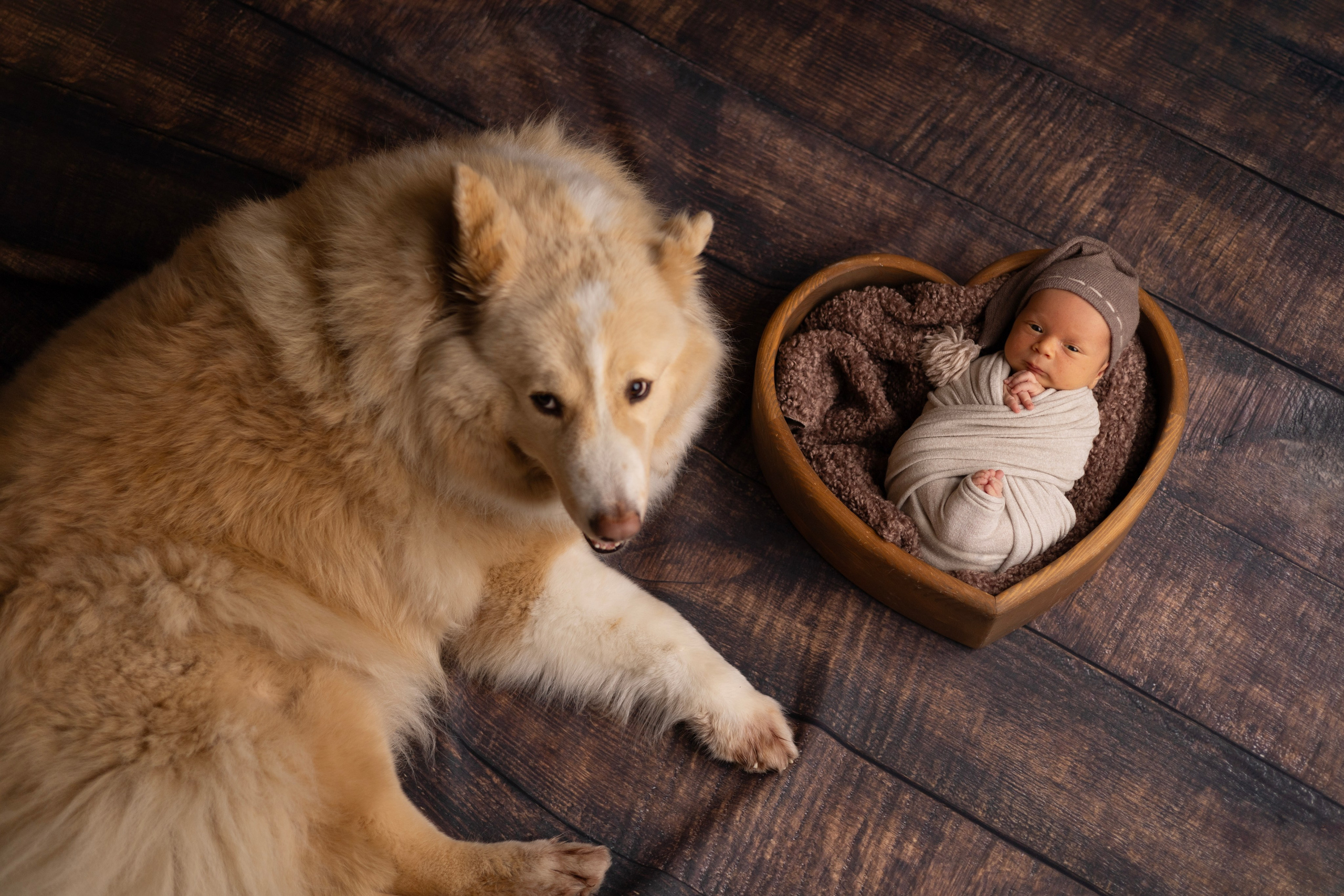 Новорожденные. Детский новорождённых и детей постарше Анисимова Полина