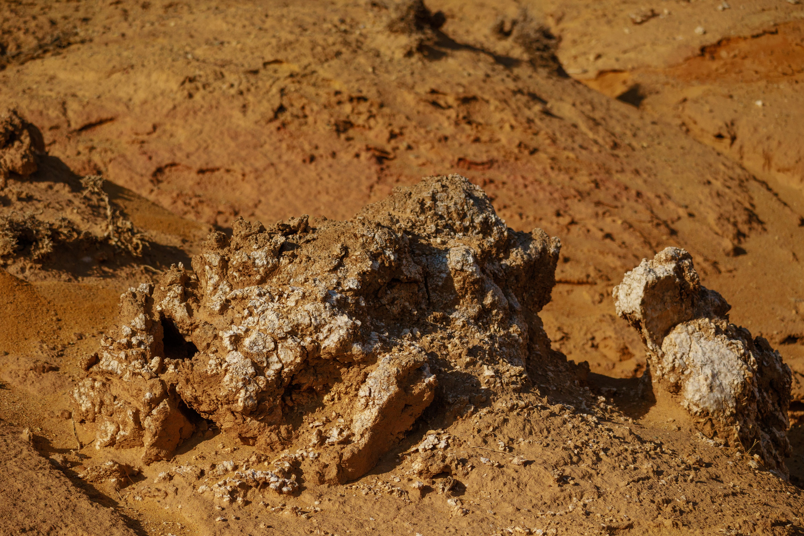 Алтын Эмель горы Актау. Фотограф Мальнева Юлия в Липецке, в Москве. Фотостудия MARU в Липецке