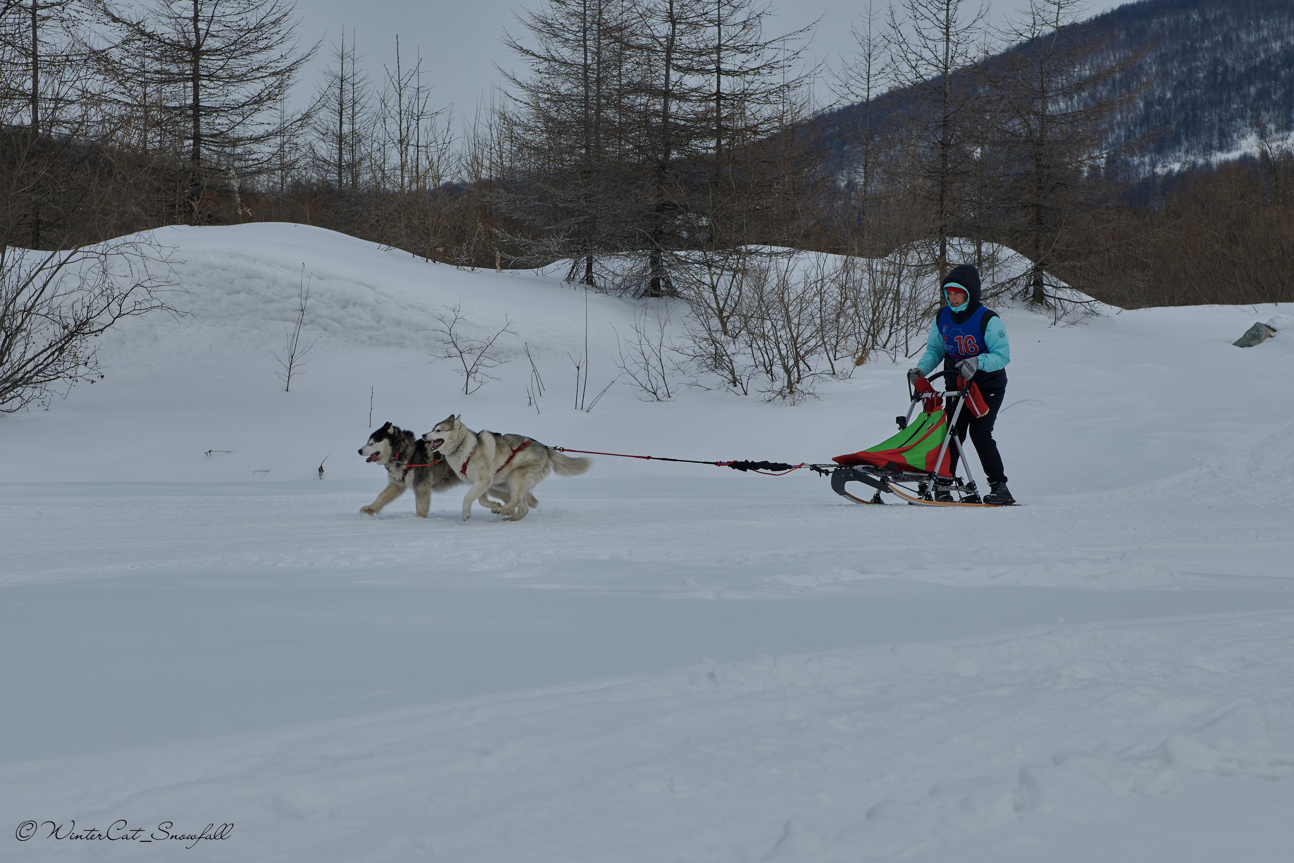 Дзяблу 30.03. Портретный и репортажный фотограф в Магадане Андрей Нефедов WinterCatPhoto