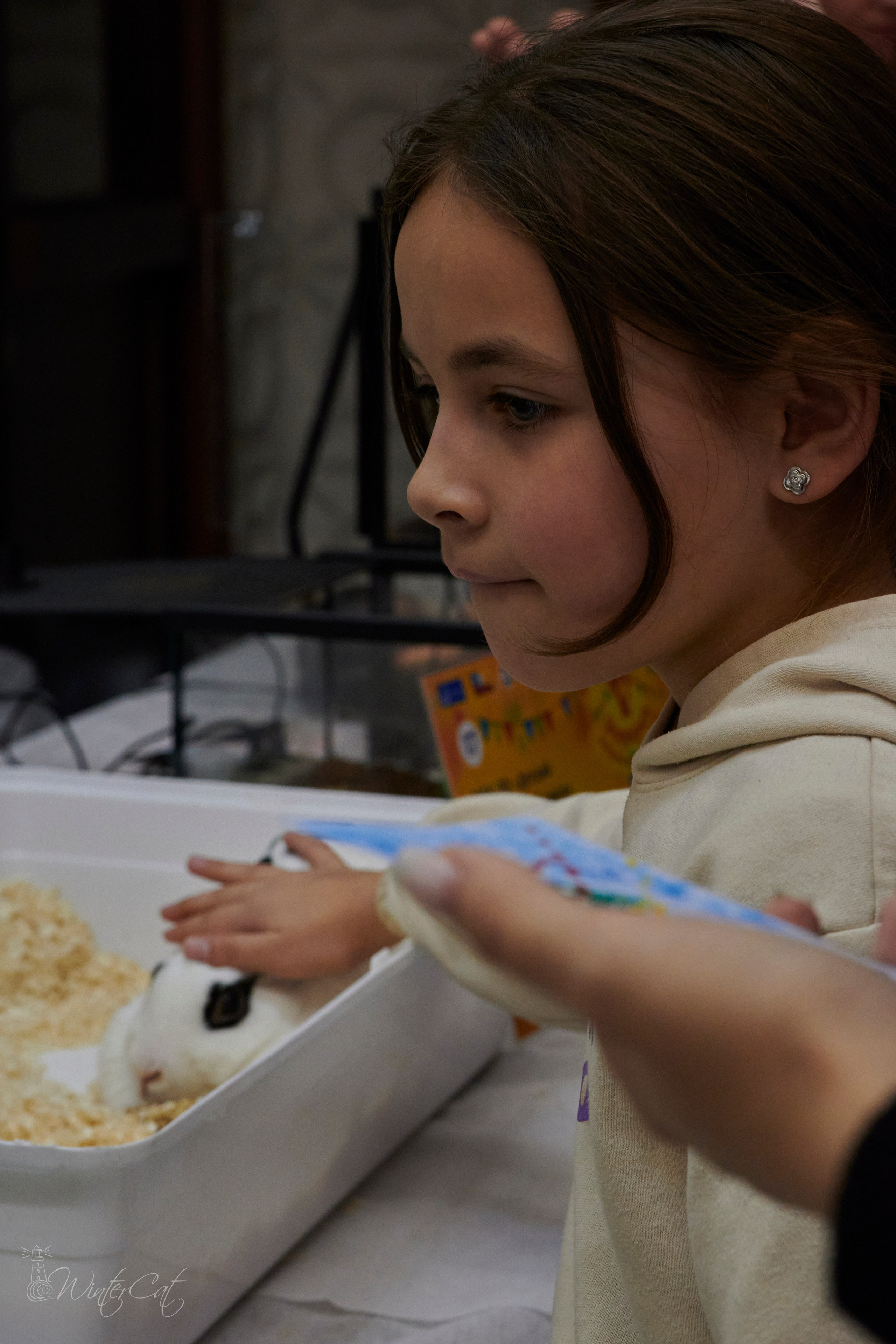 Ярмарка 5 2024. Портретный и репортажный фотограф в Магадане Андрей Нефедов WinterCatPhoto