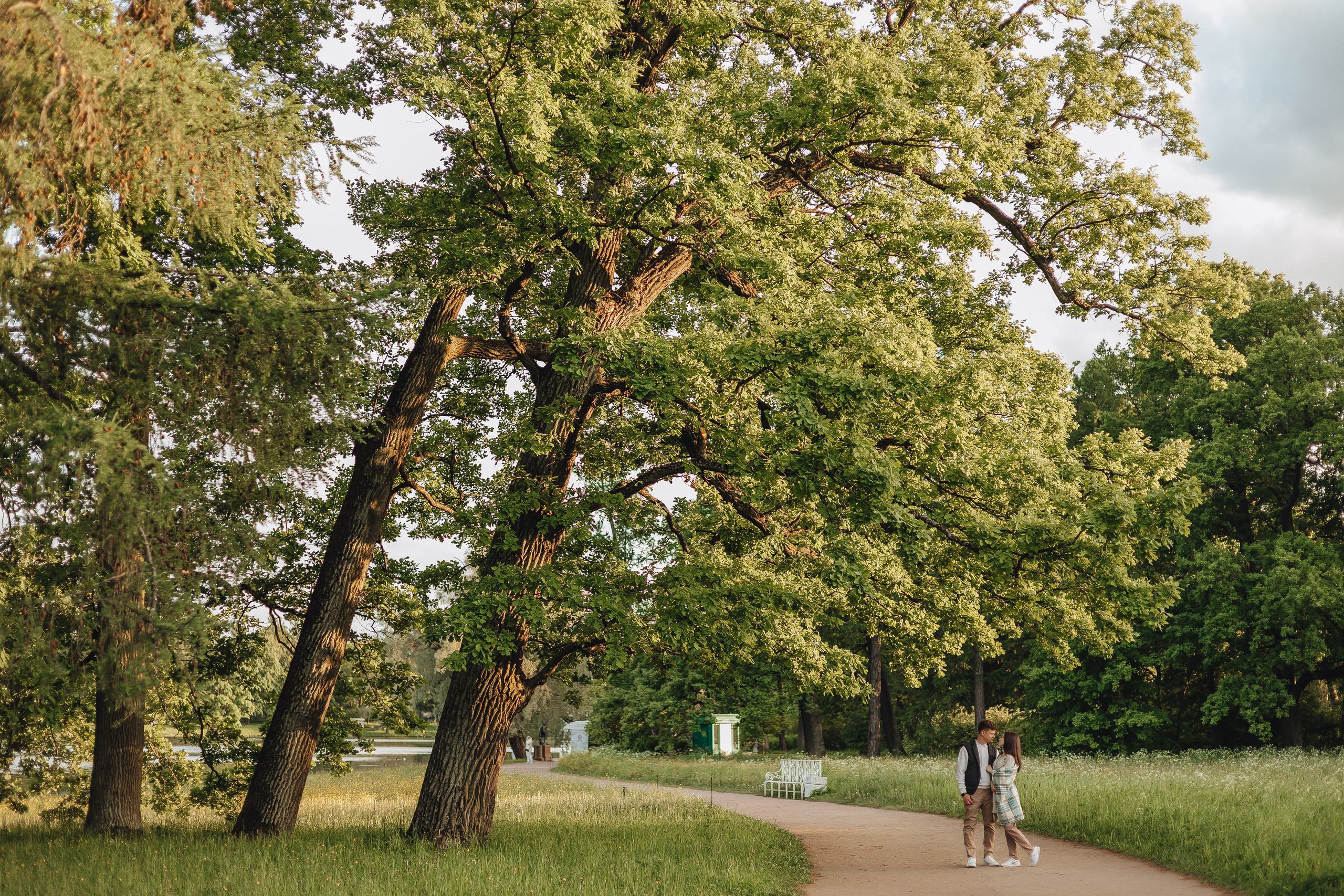 Саша & Настя. Царское Село. Свадебный и семейный фотограф Пушкин Царское Село СПБ Питер Санкт-Петербург и Рязань Ольга Козлова