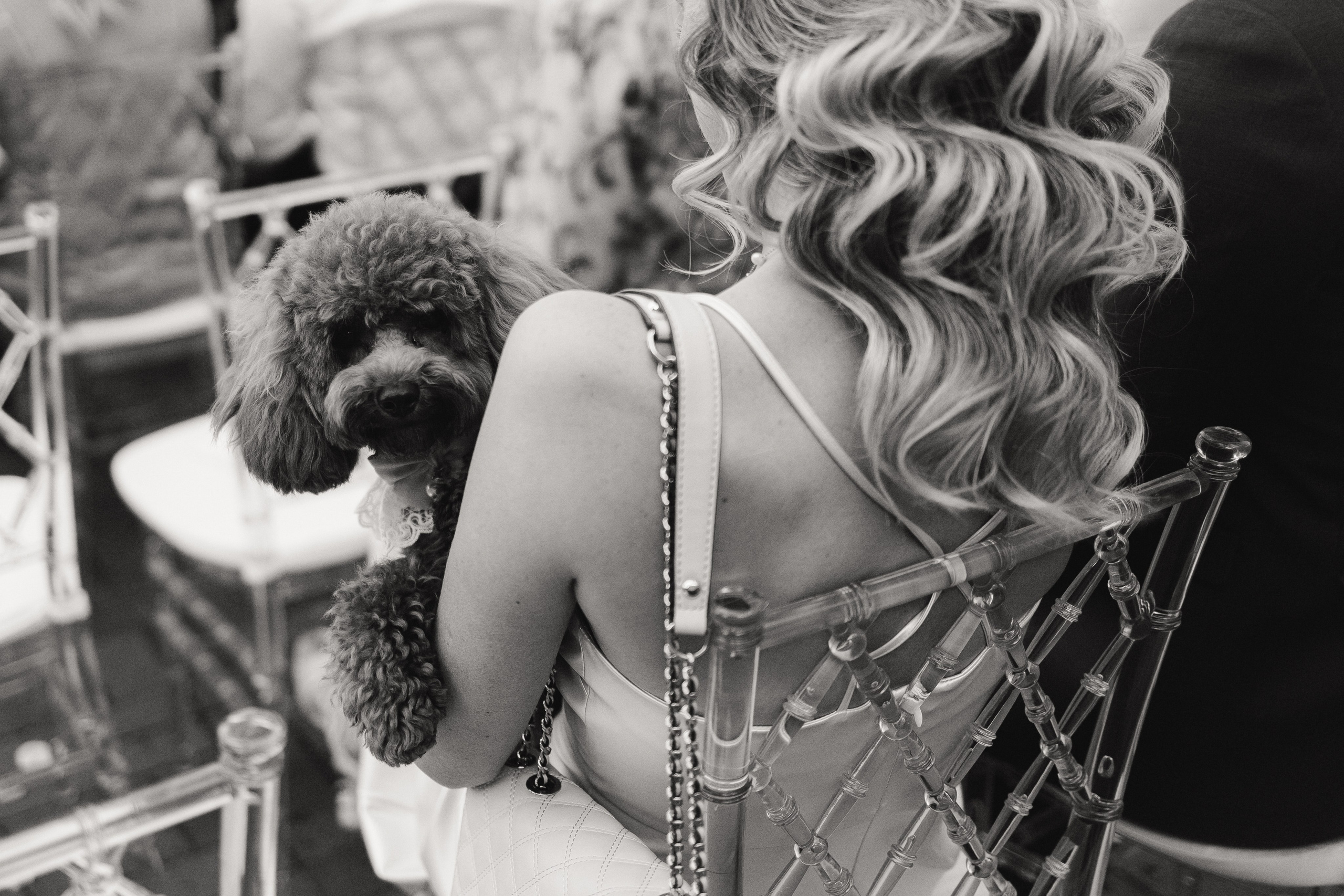 Daria & Kirill. Фотограф Москва и МО