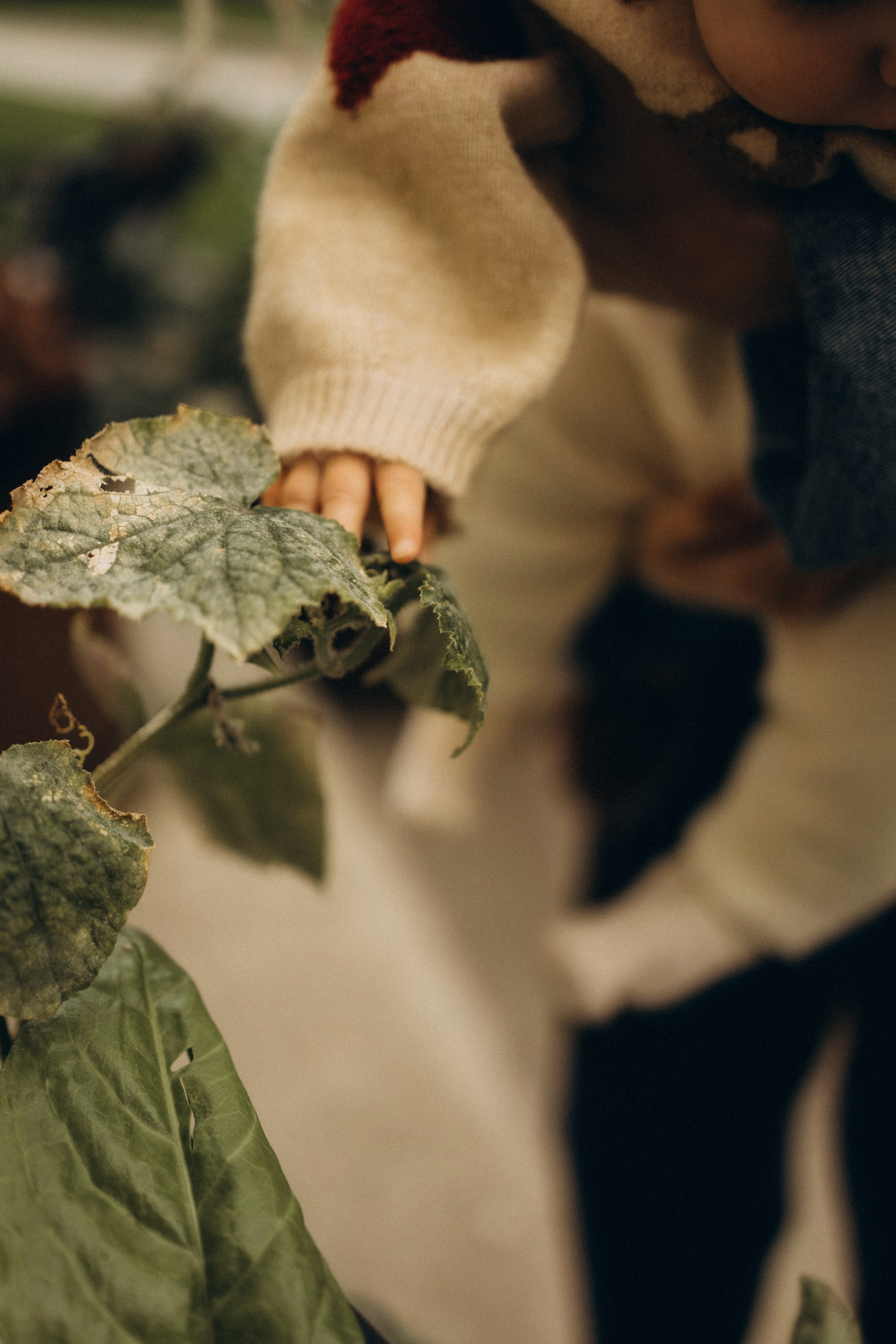 Первая осень 🍂🐿️. Семейный фотограф в Санкт-Петербурге Виктория Безгузова