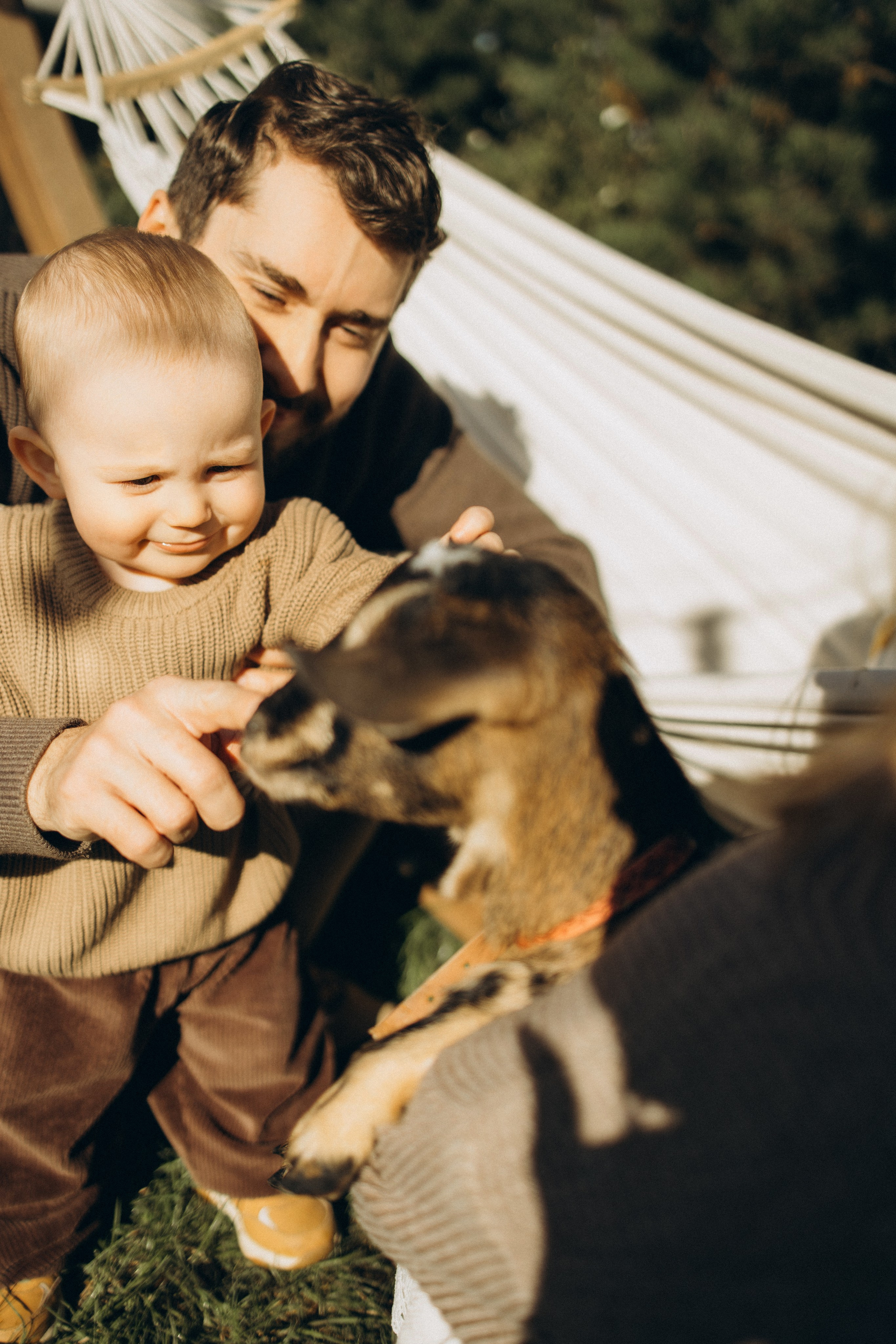Осень, глэмпинг и пушистый друг 🐐 семейная история без повода 🏕️🪵🍂. Семейный фотограф в Санкт-Петербурге Виктория Безгузова