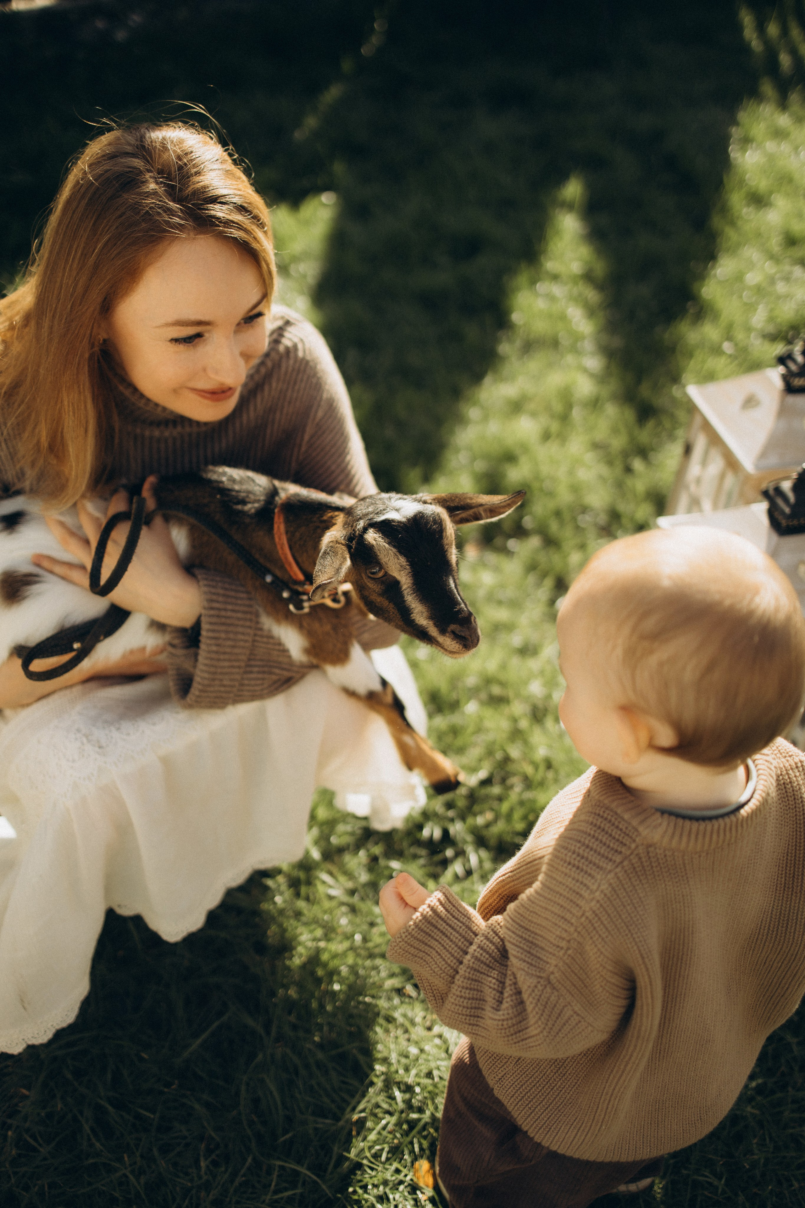 Осень, глэмпинг и пушистый друг 🐐 семейная история без повода 🏕️🪵🍂. Семейный фотограф в Санкт-Петербурге Виктория Безгузова