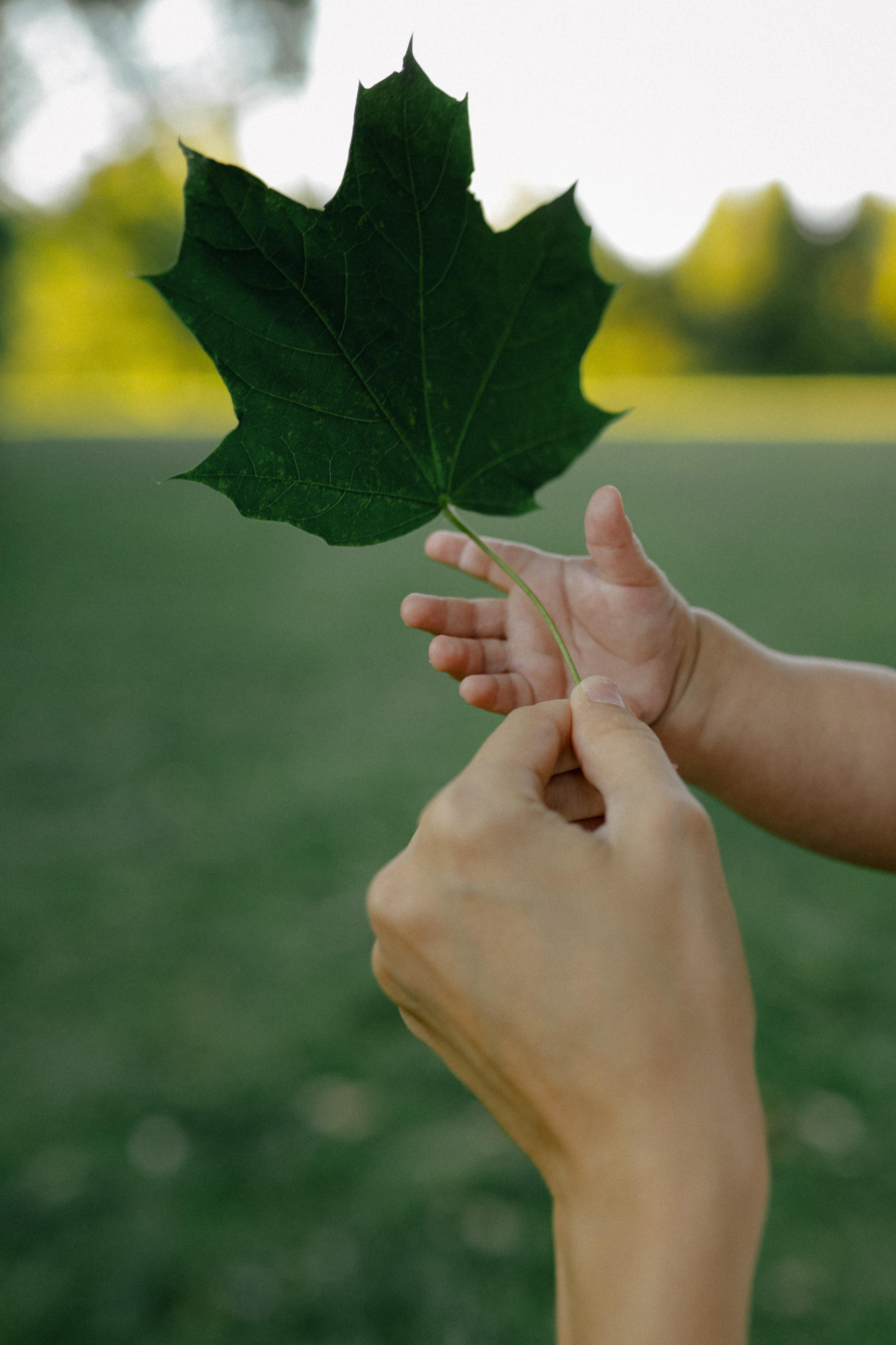 Всегда буду рядом. Свадебный и семейный фотограф в Варшаве