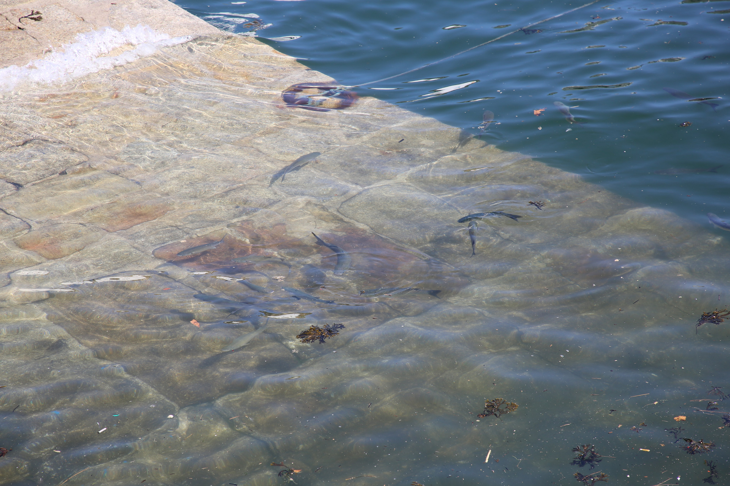 Porto, Portugal. Andrey Filippov Photographer